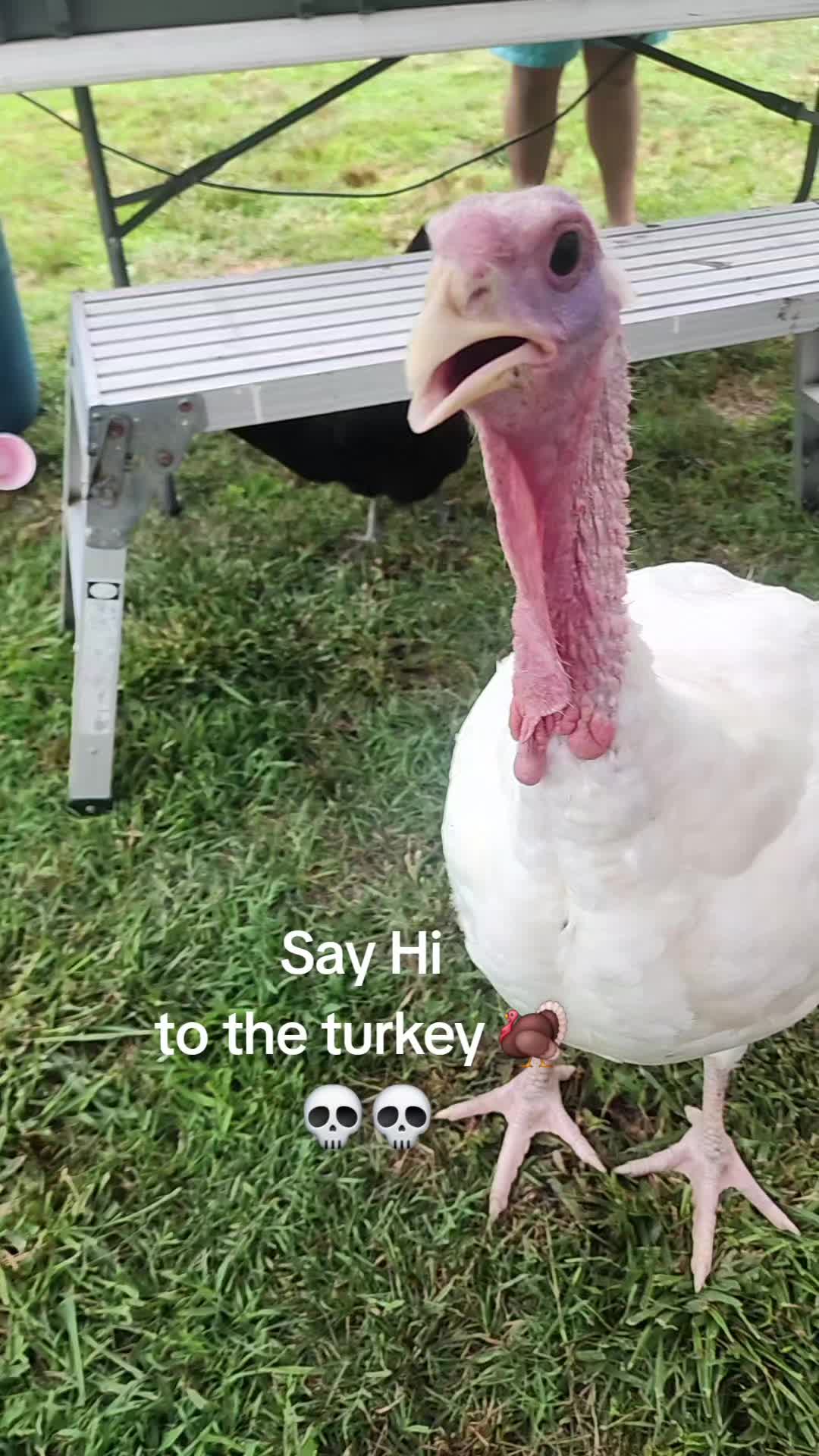 @Lori