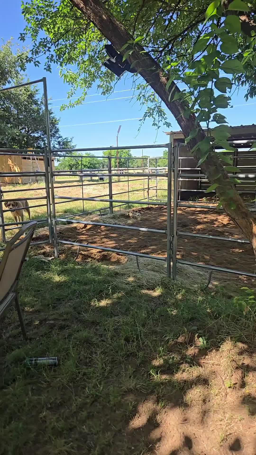 @Fonzy's Farm Rehab & Sanctuary