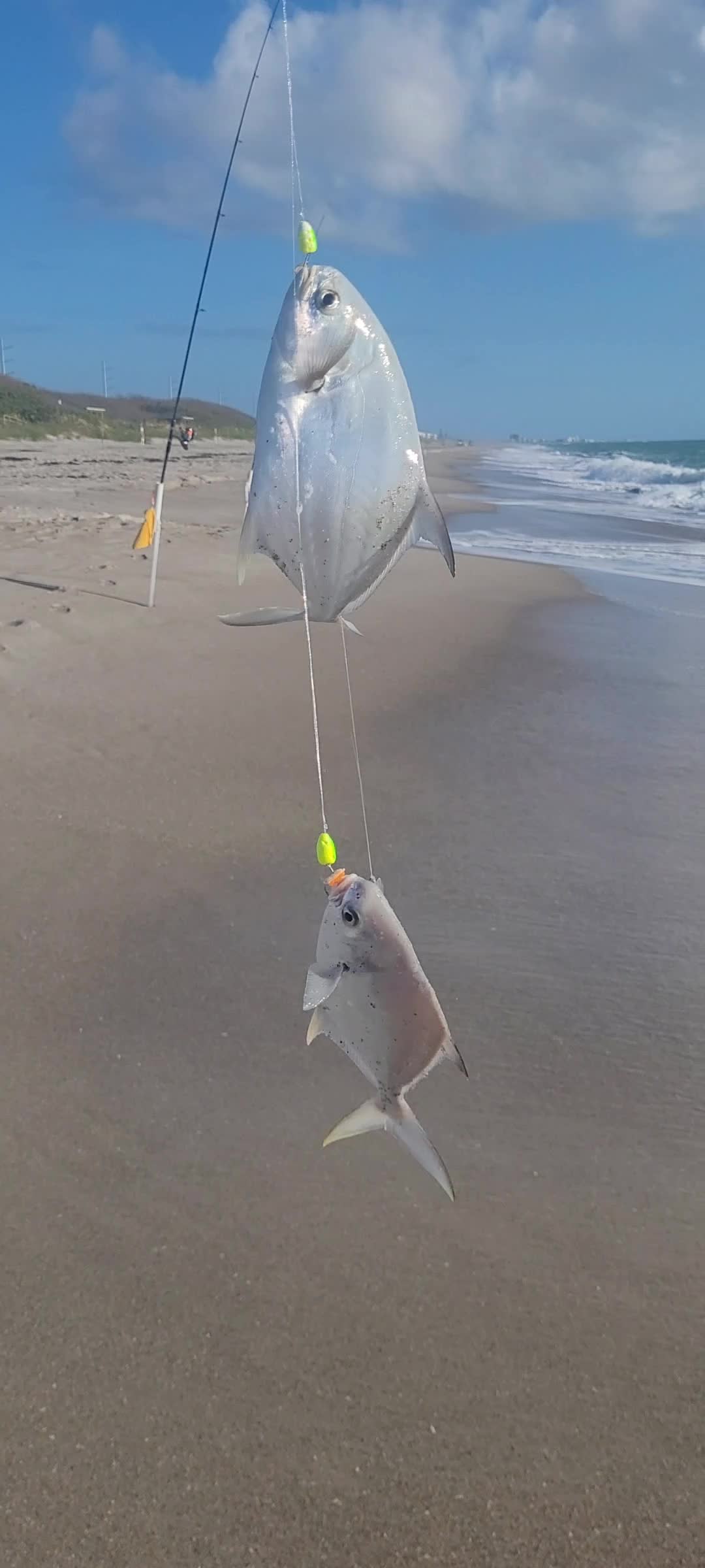 @Ghost of Space Coast Fishing