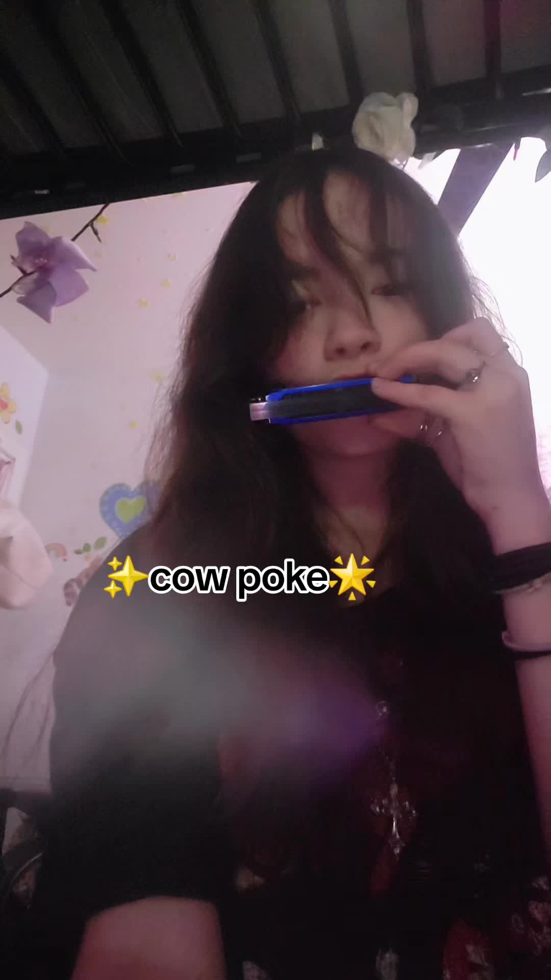 @xxx-Ilovestraykidsfelix-xxx𖣂