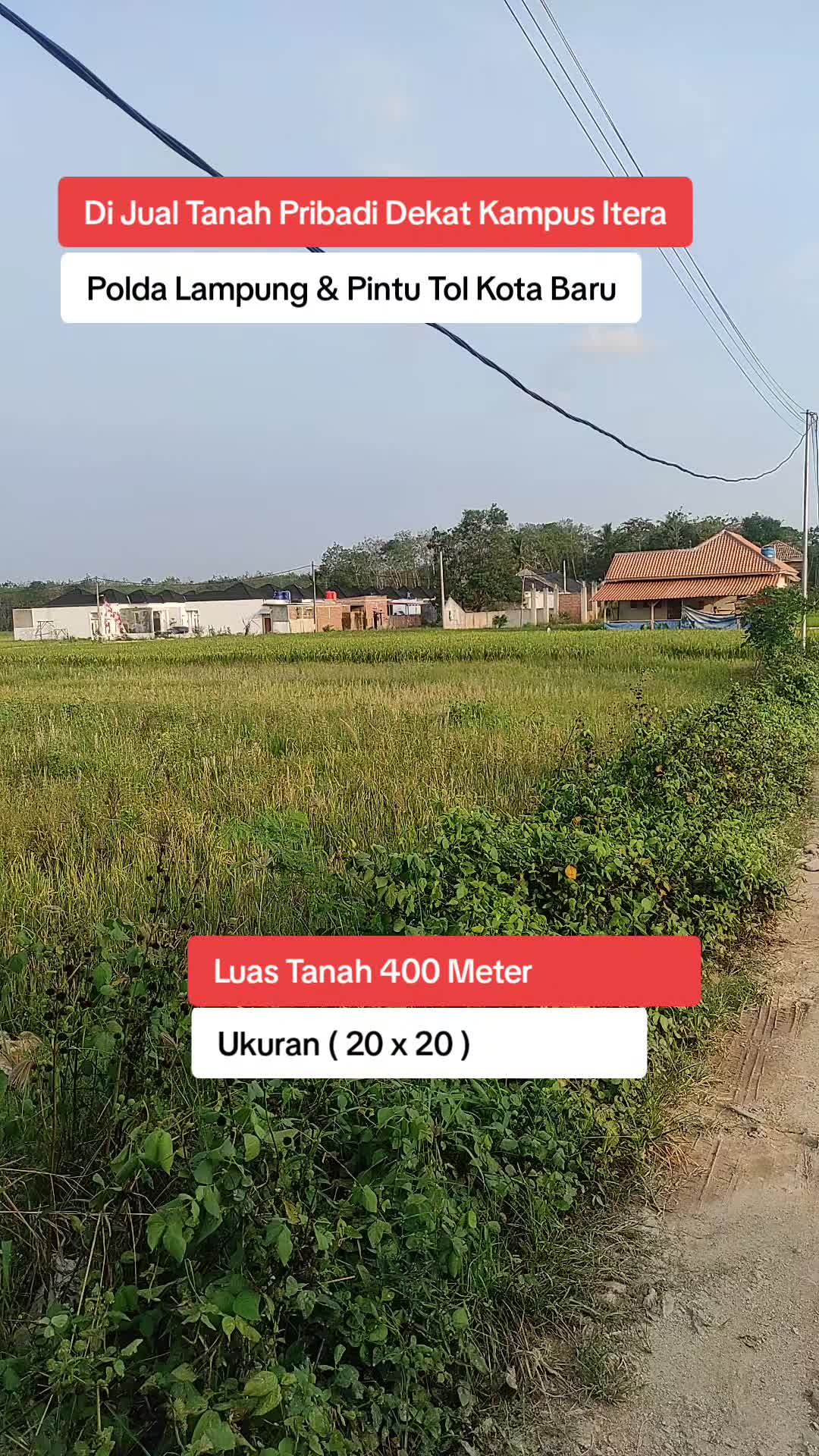 @Tanah pribadi Lampung