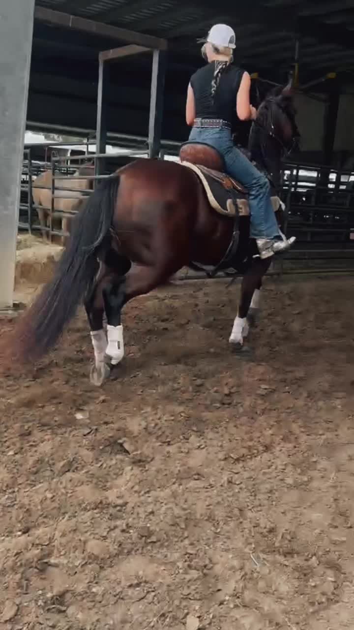 @𝓛𝓲𝓵𝓵𝔂𝓪𝓷𝓷𝓮