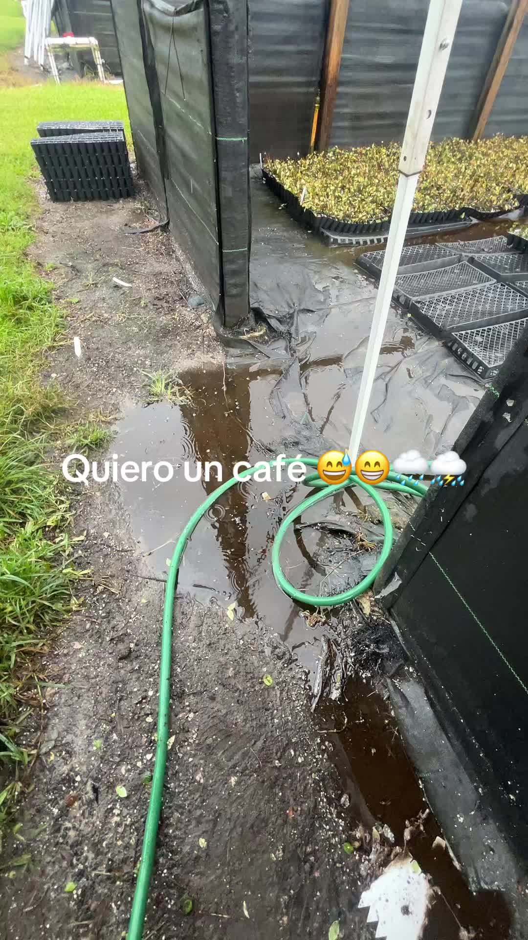 @Carmen Diaz