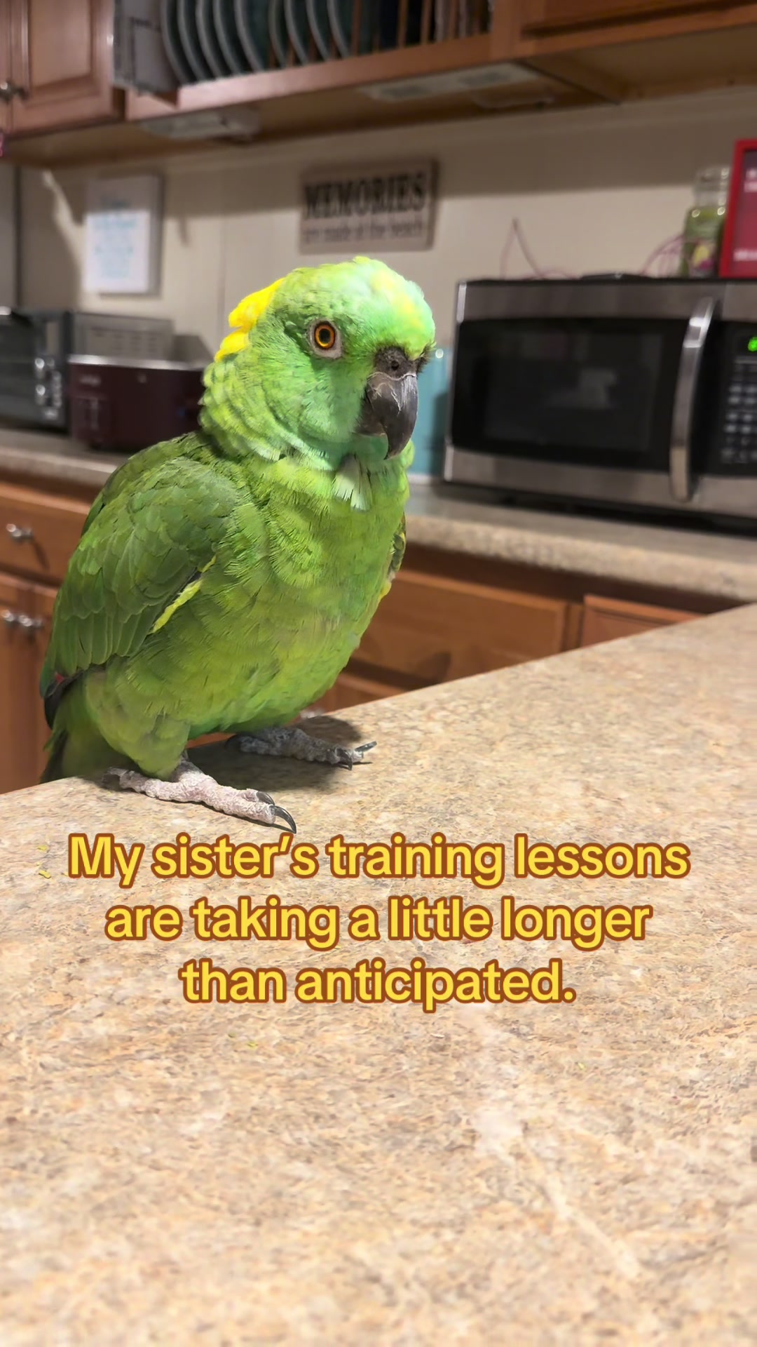 @Poncho & Kermit