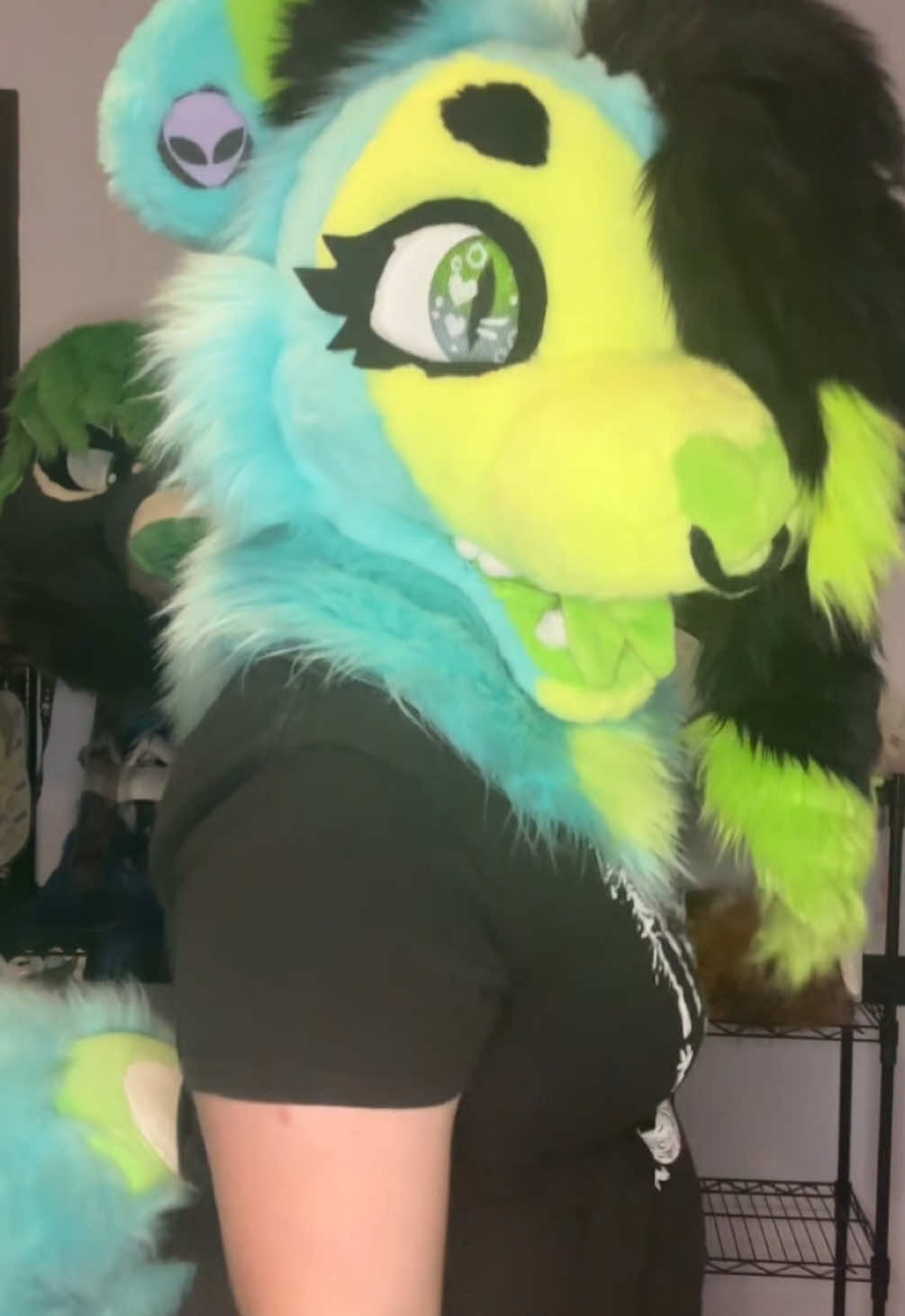 @🖤Eza the cat-lizard💚