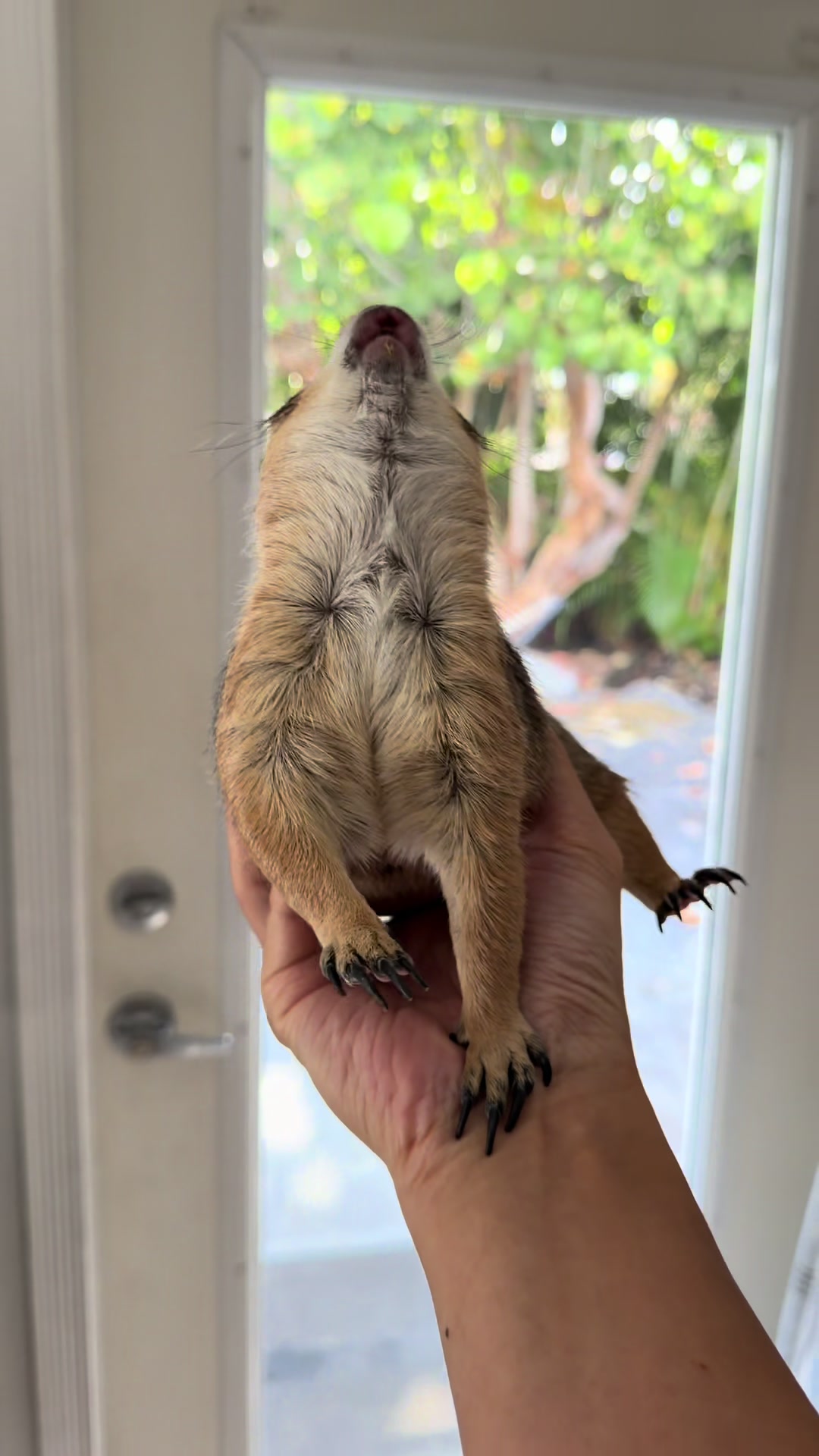 @Poppy the Prairie Dog