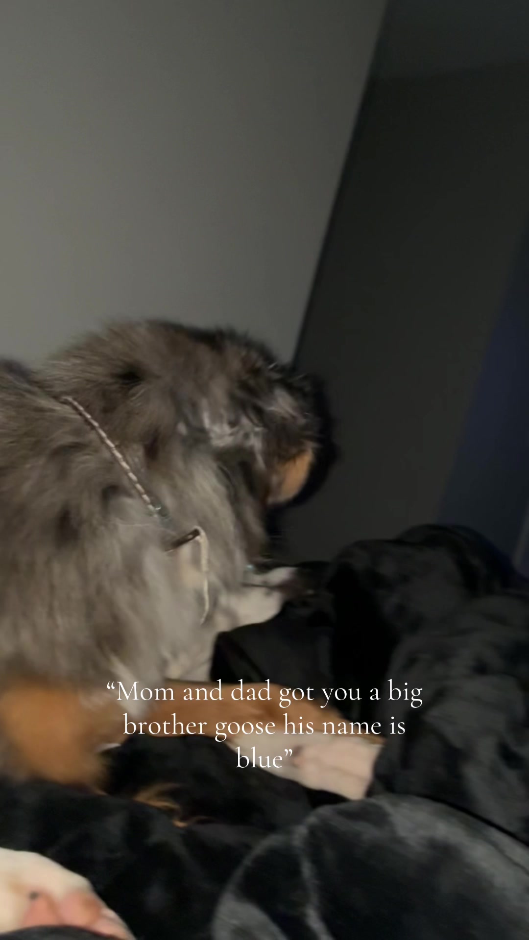 @mmoney526