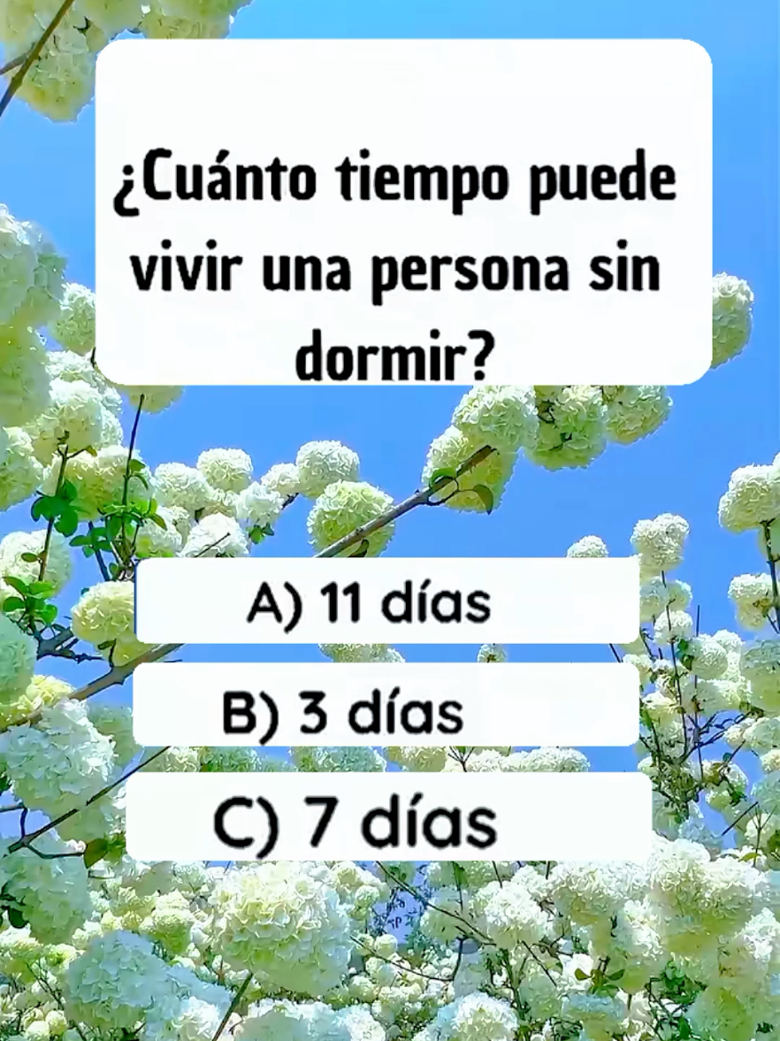 @⭐ triviador