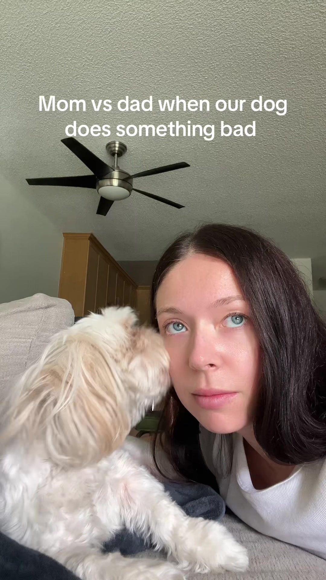 @Hugh the Shih Tzu