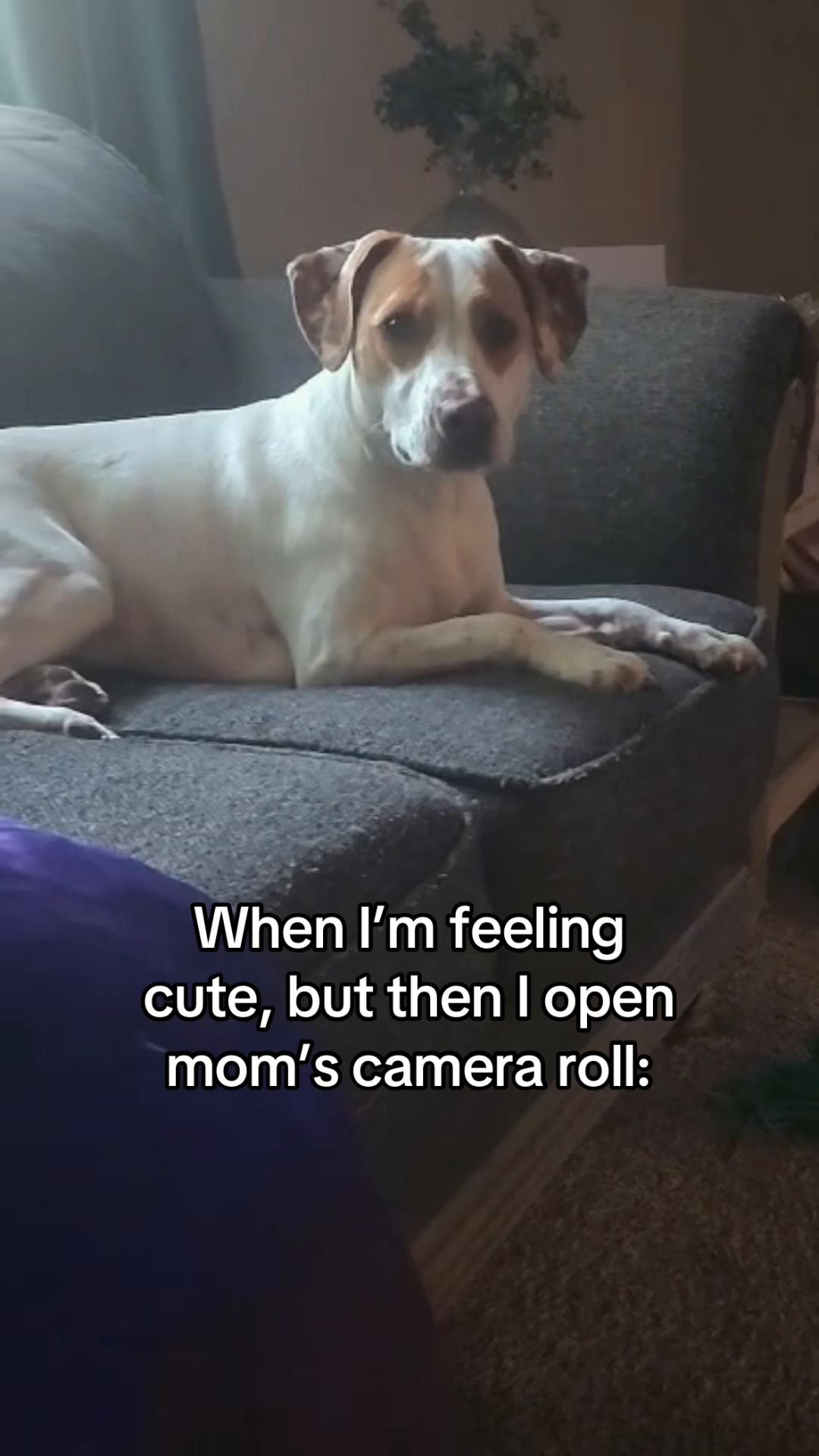 @Sproutie 🐶