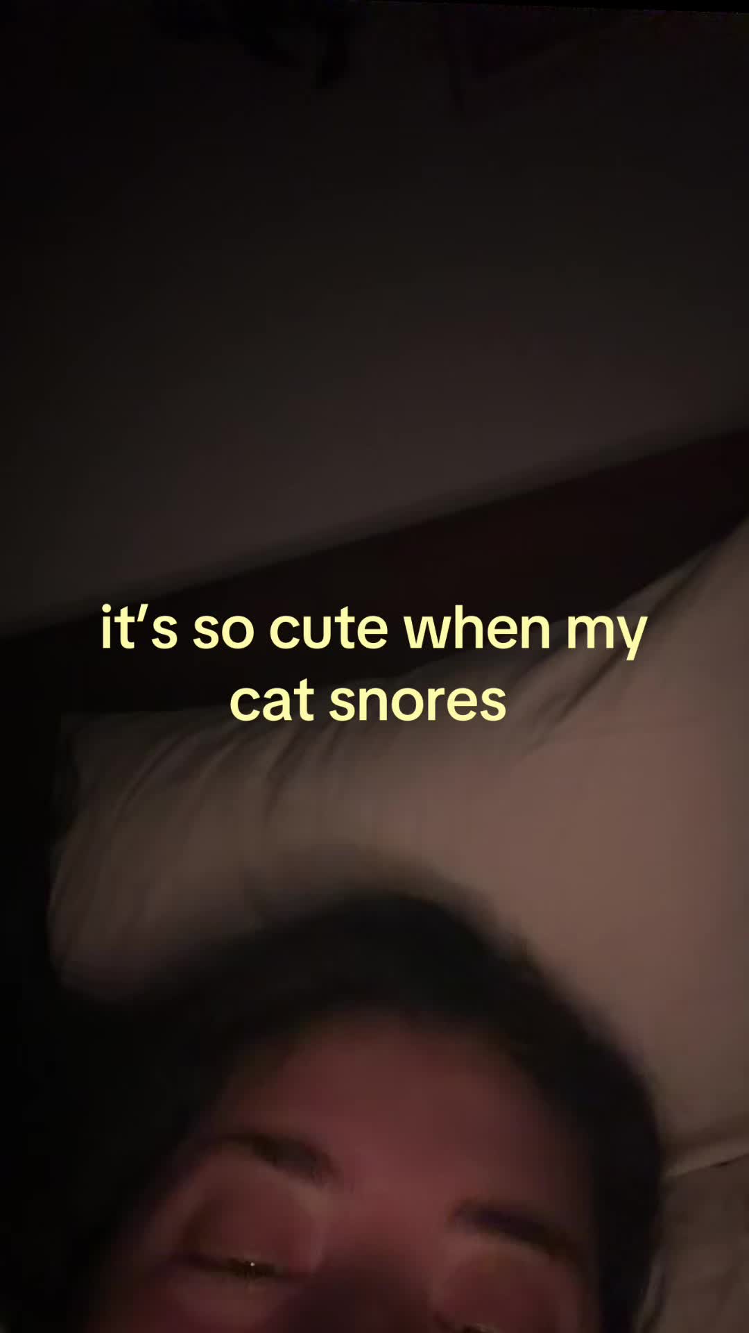 @jdog