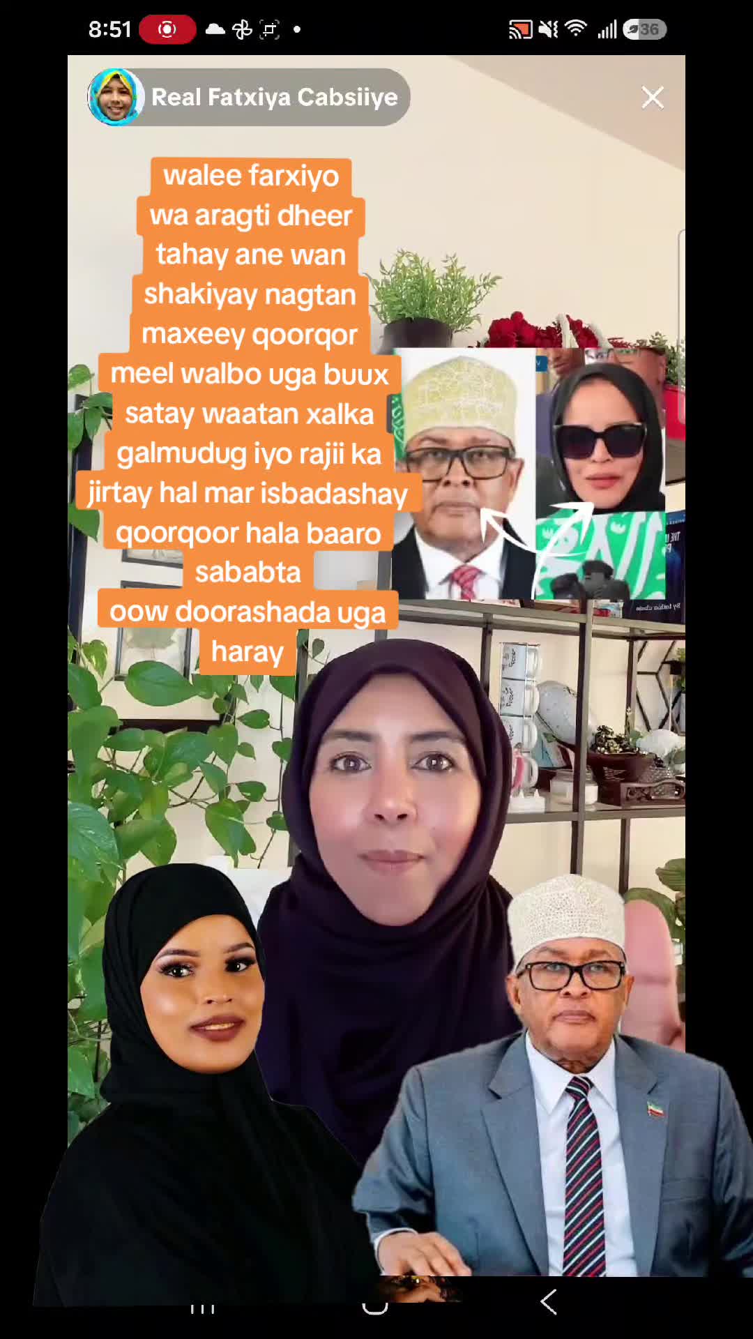 @hikma