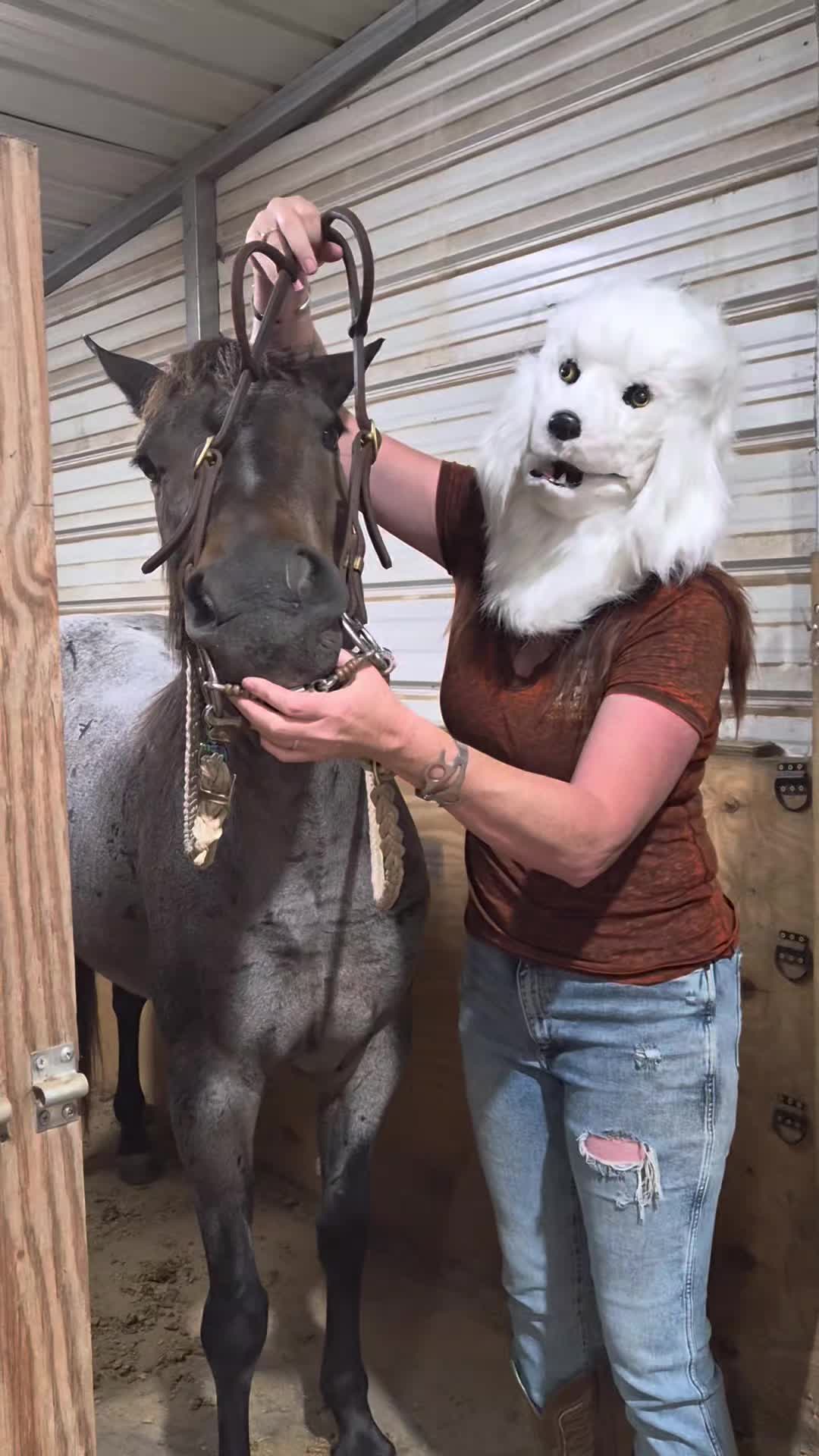 @pussnboots4555