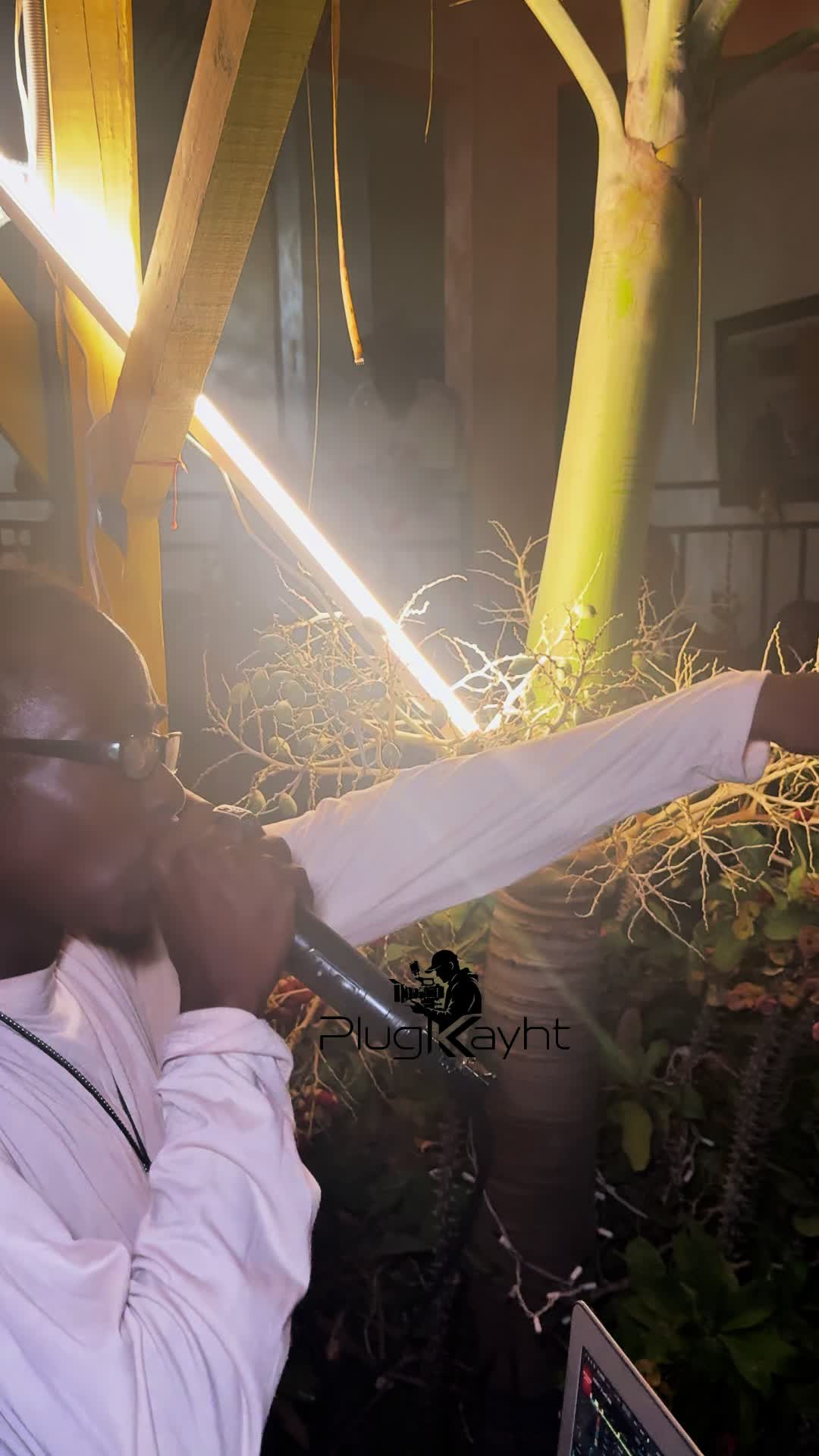 @plugkayht