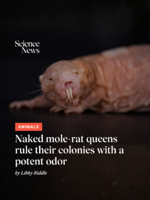 @Science News