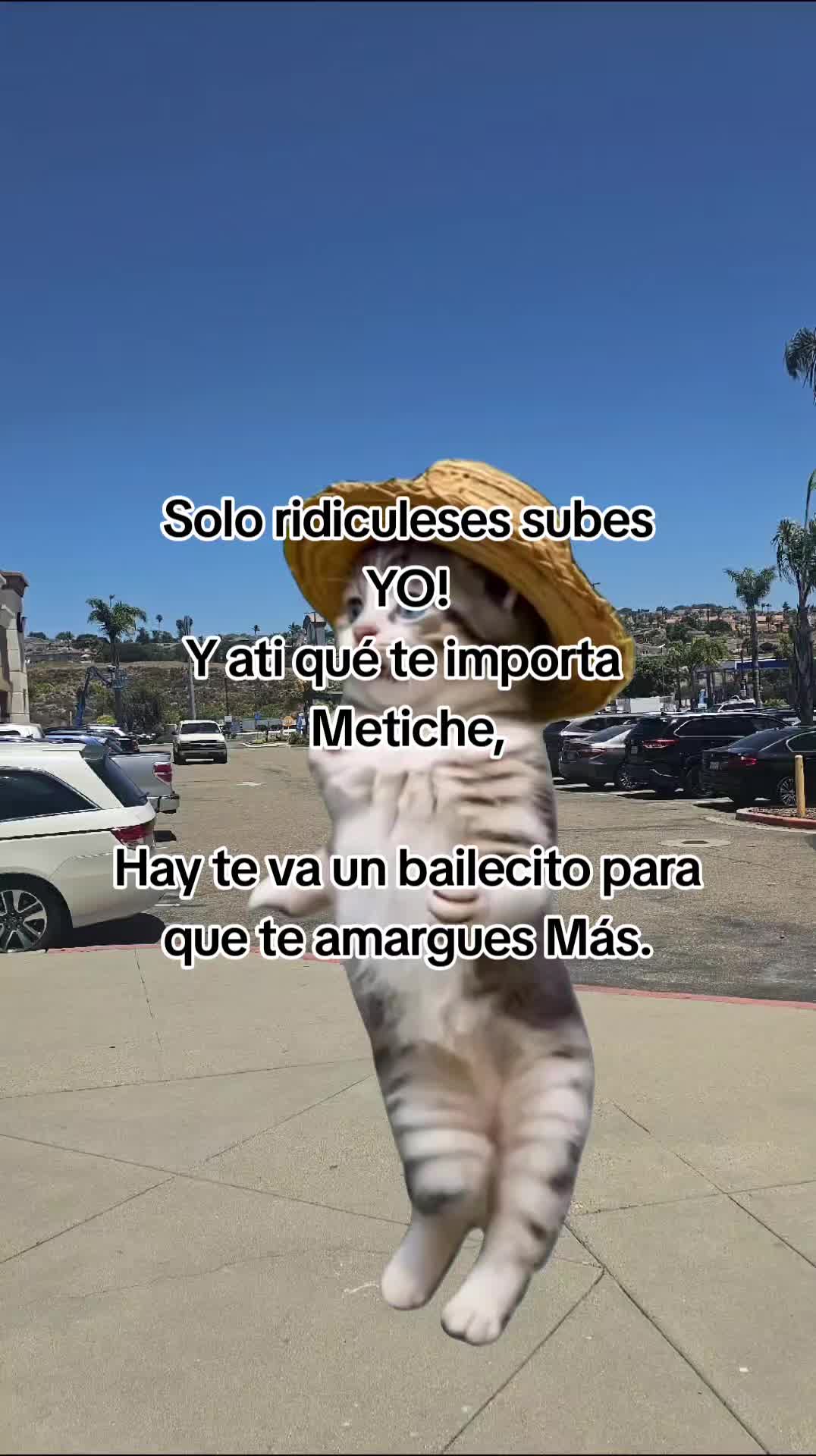 @🇲🇽🐦⬛🪺VASQUEZ🚚🌪💎
