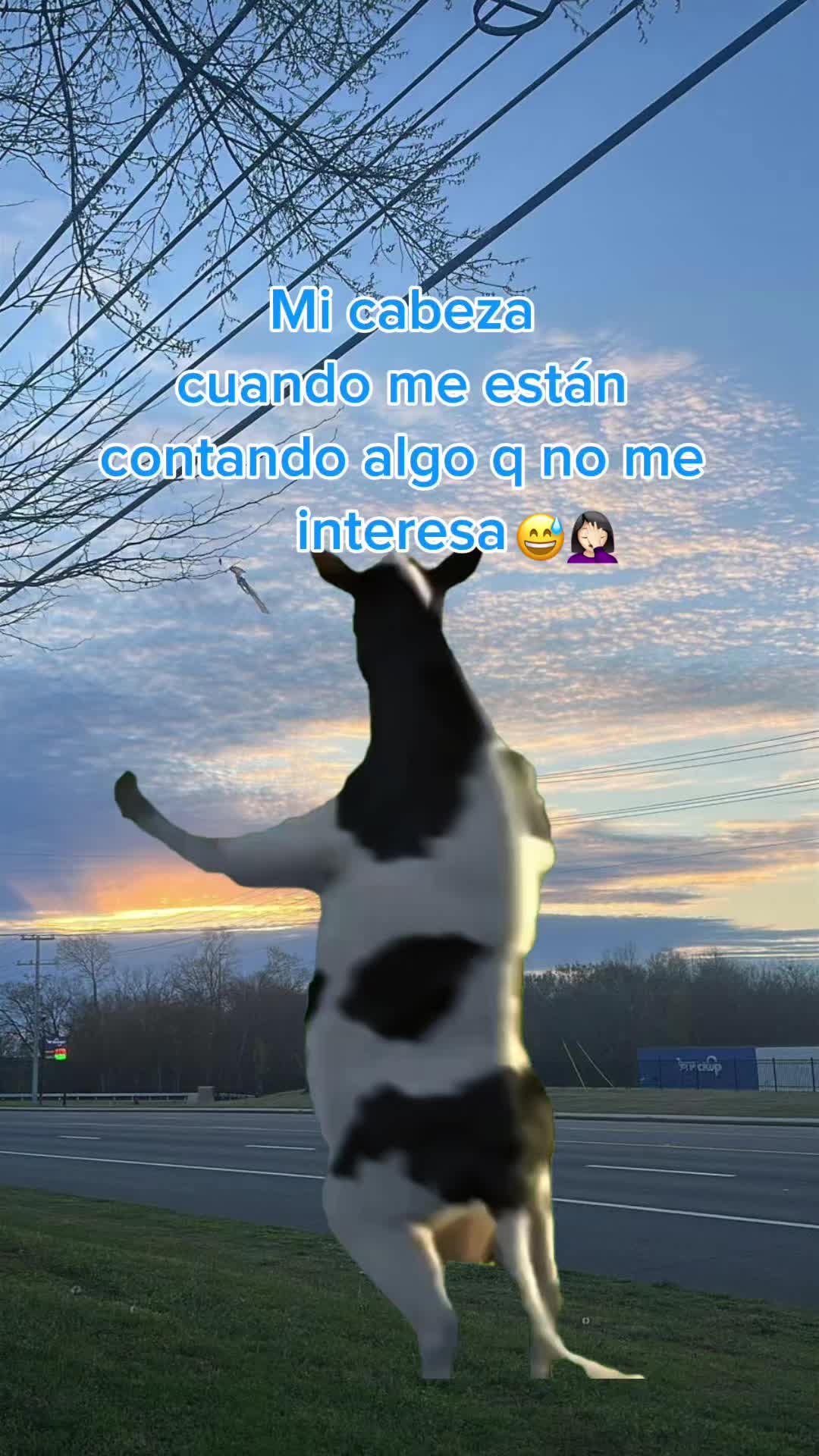 @sandy ,🍀