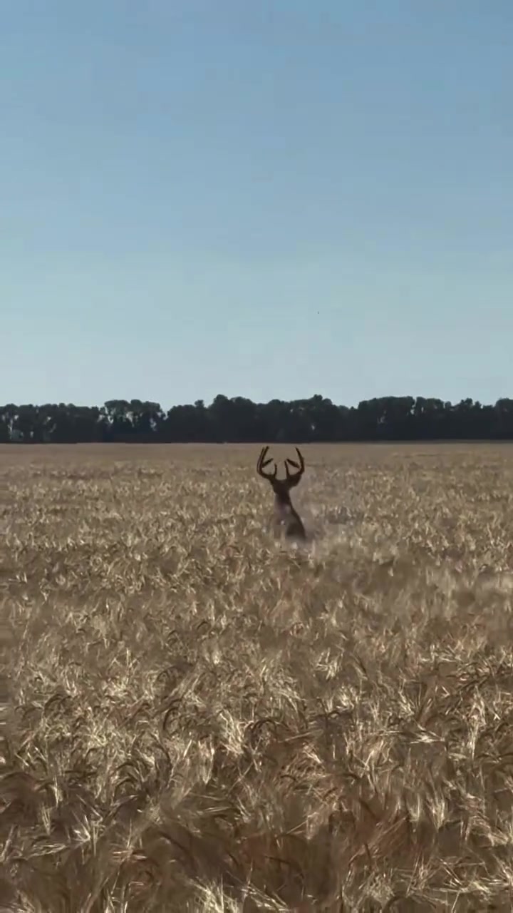 @Buckmasters Outdoors