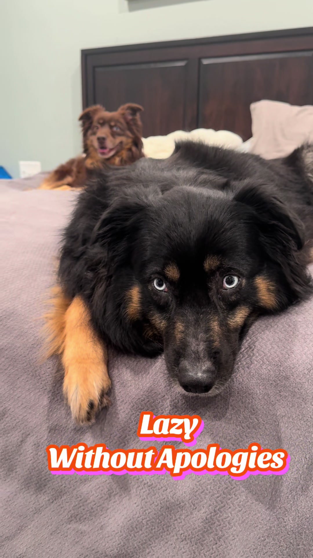 @Buffy_In_Louisiana