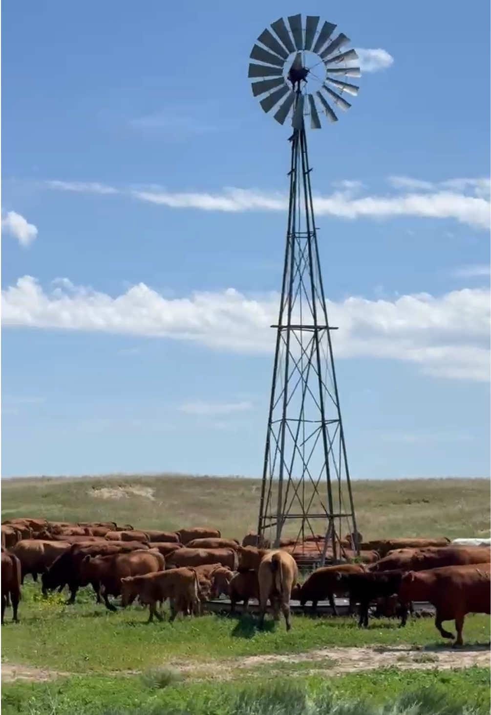 @Ruether Ranch
