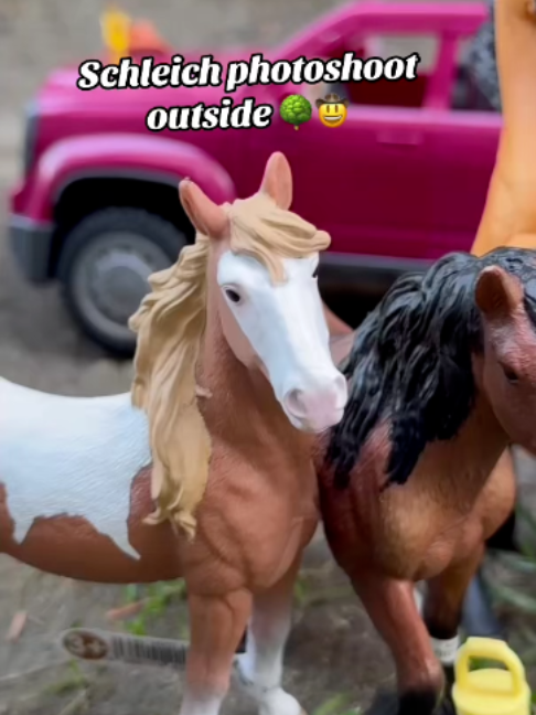 @Schleich Horse Club
