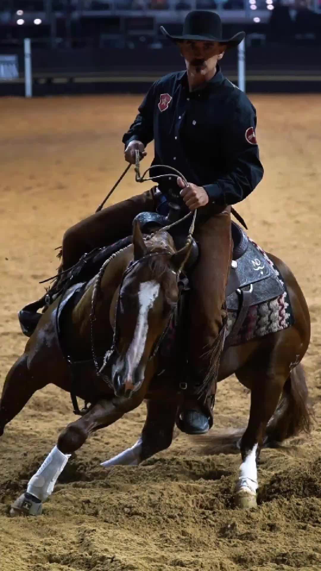 @American Performance Horseman