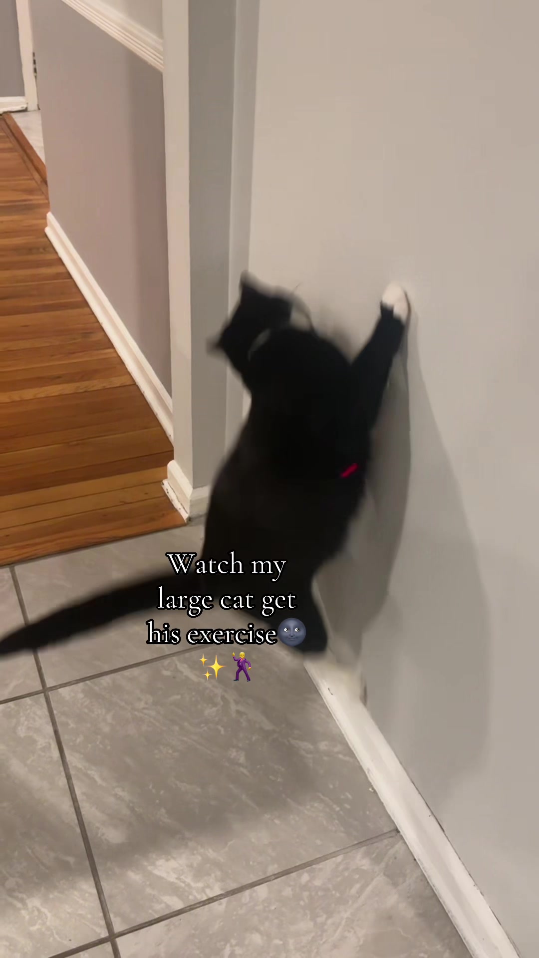 @Cam🕷️