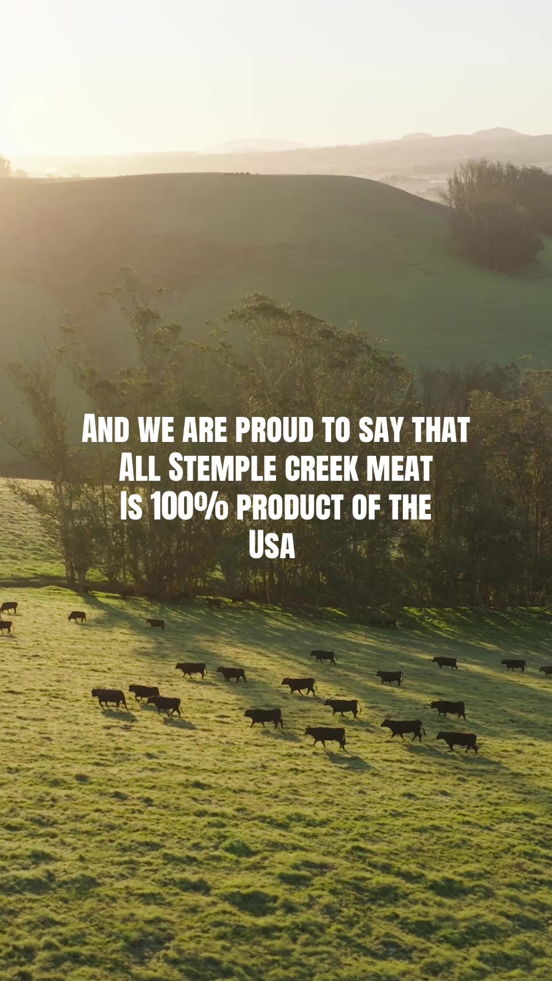 @Stemple Creek Ranch