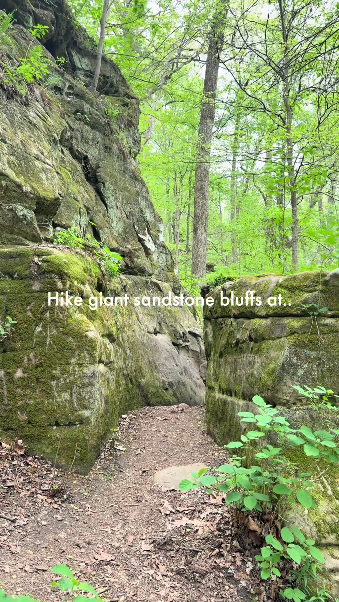@Enjoy Illinois