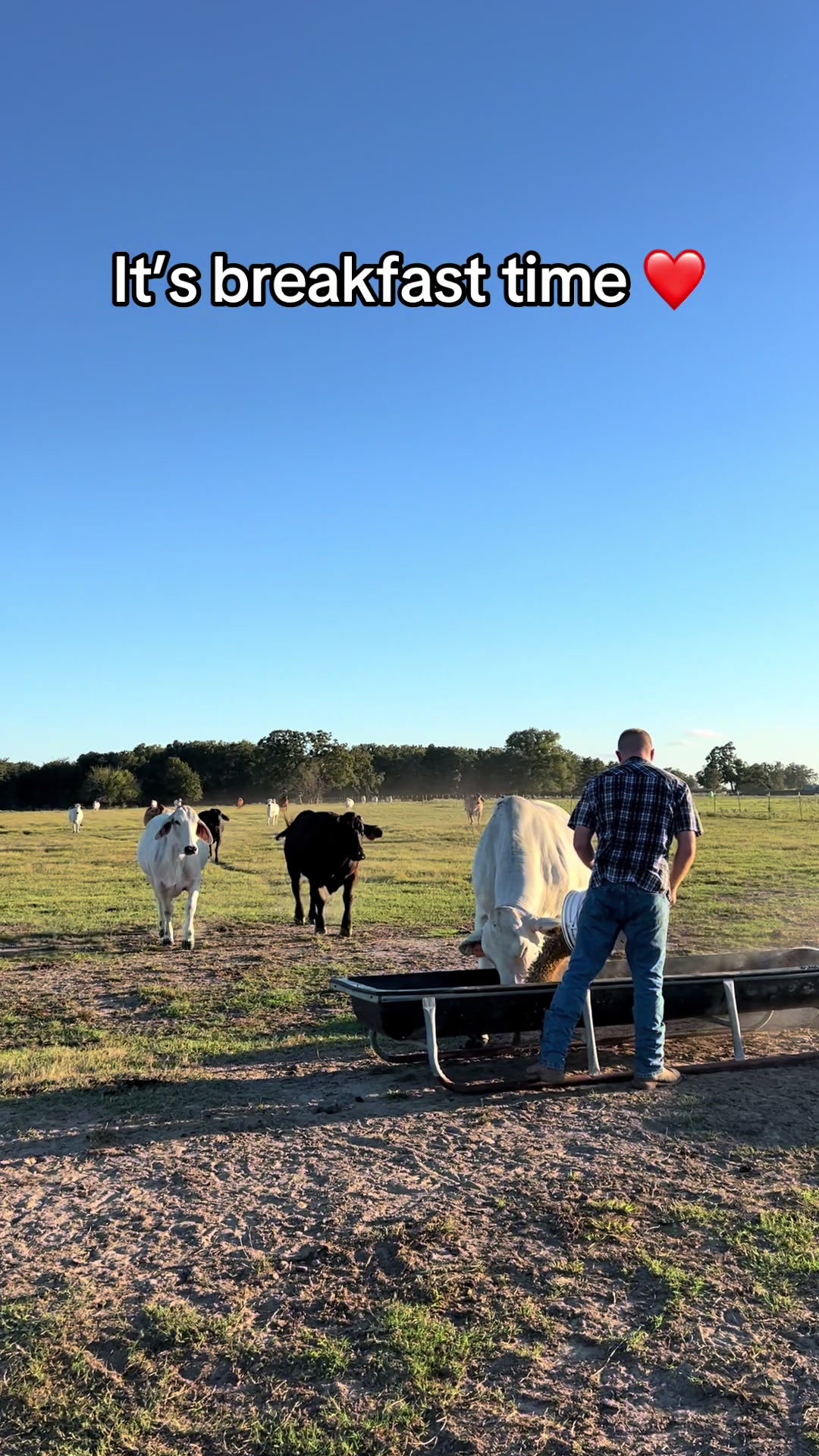 @The V6 Ranch