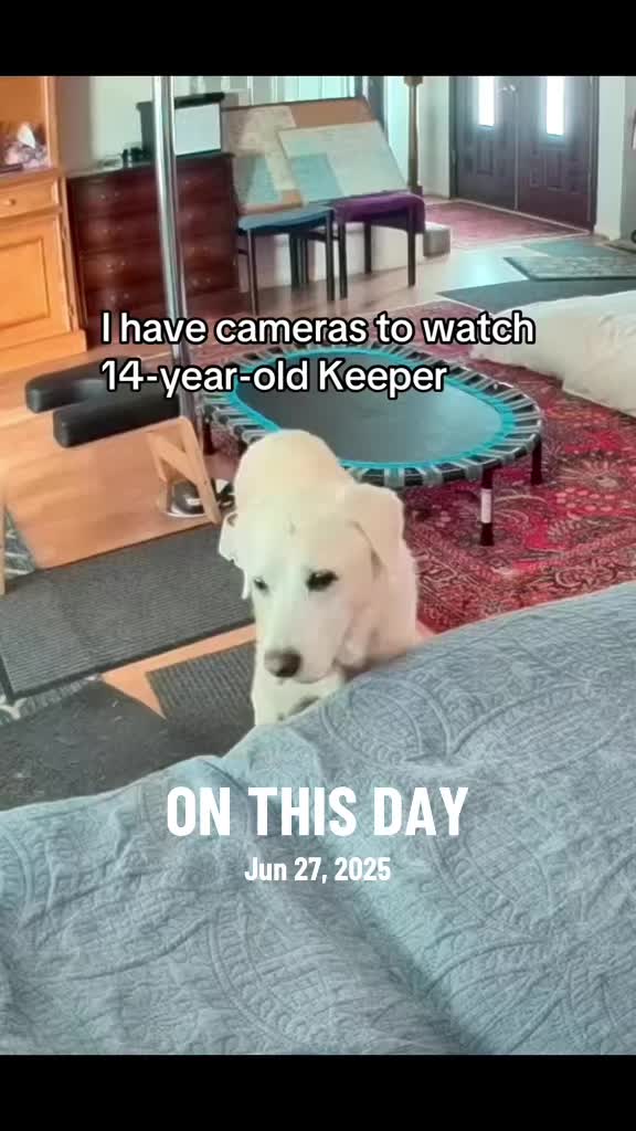 @Keepersmom