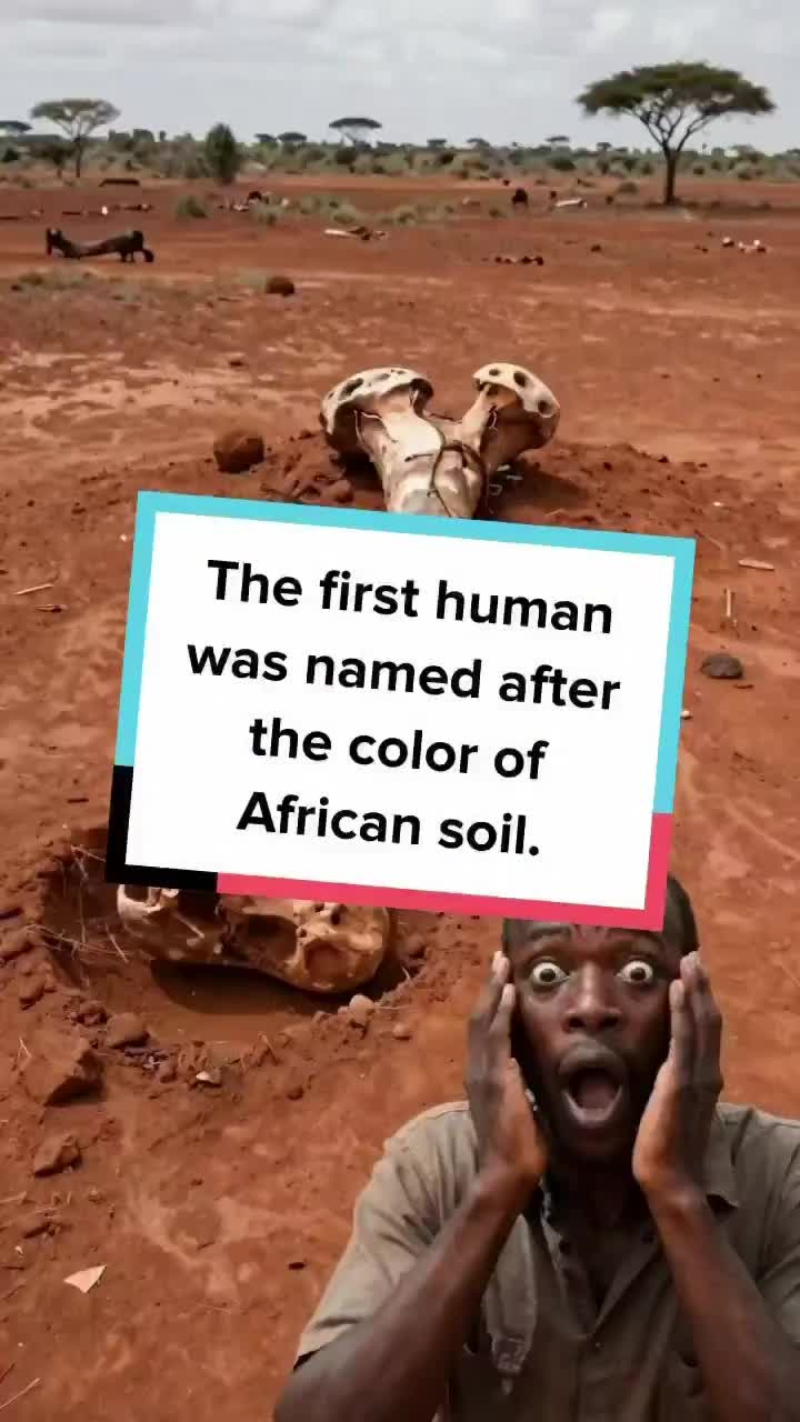@BL