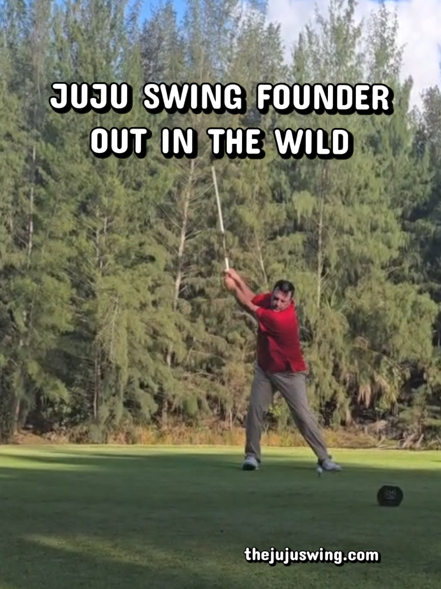 @The Juju Swing®