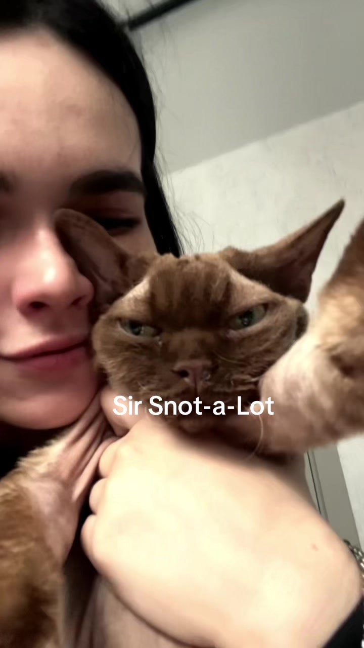 @anita