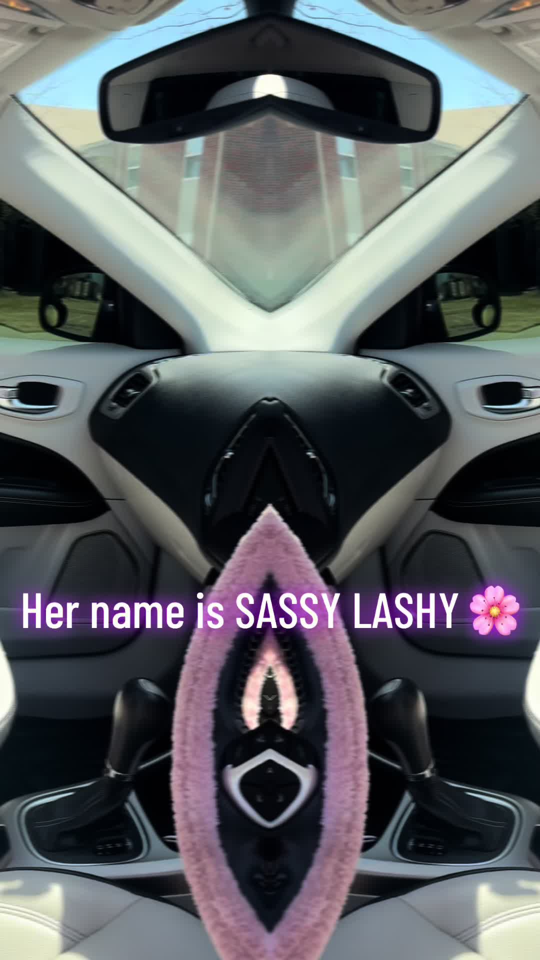 @sprincess077