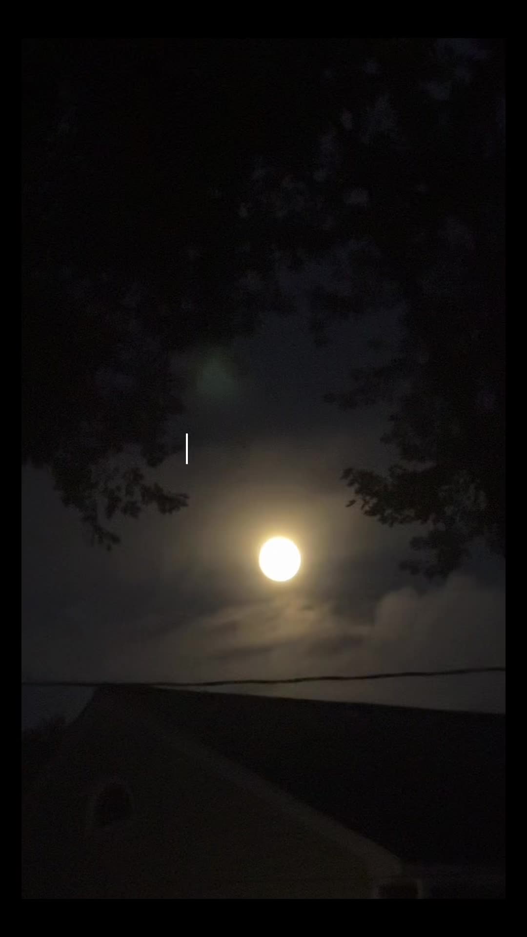 @Alexus Lowman 🌬️🌘