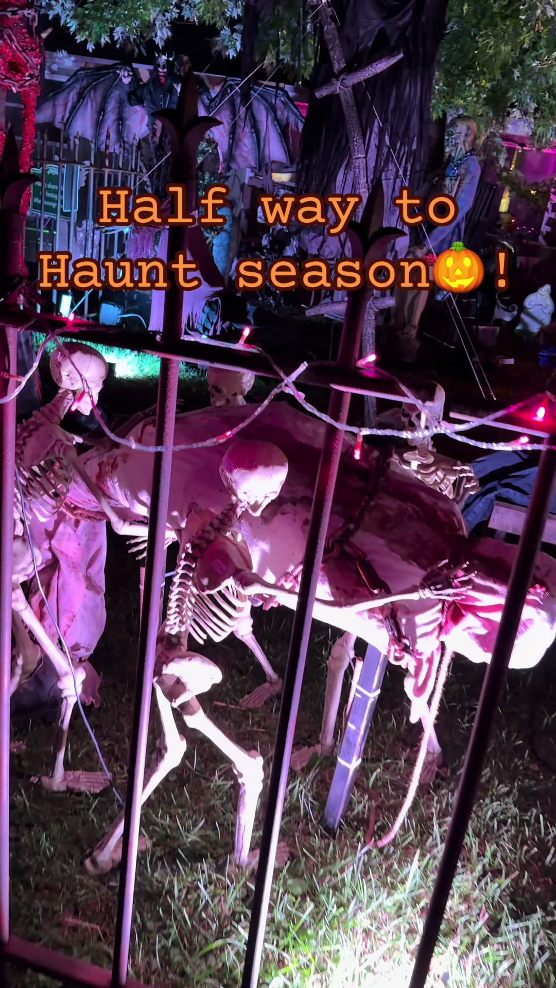 @Herman’s Graveyard