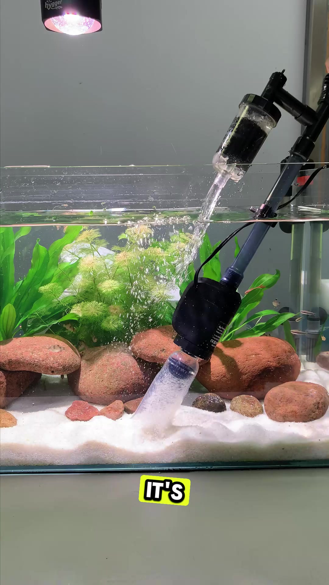 @AQQA Aquarium Store