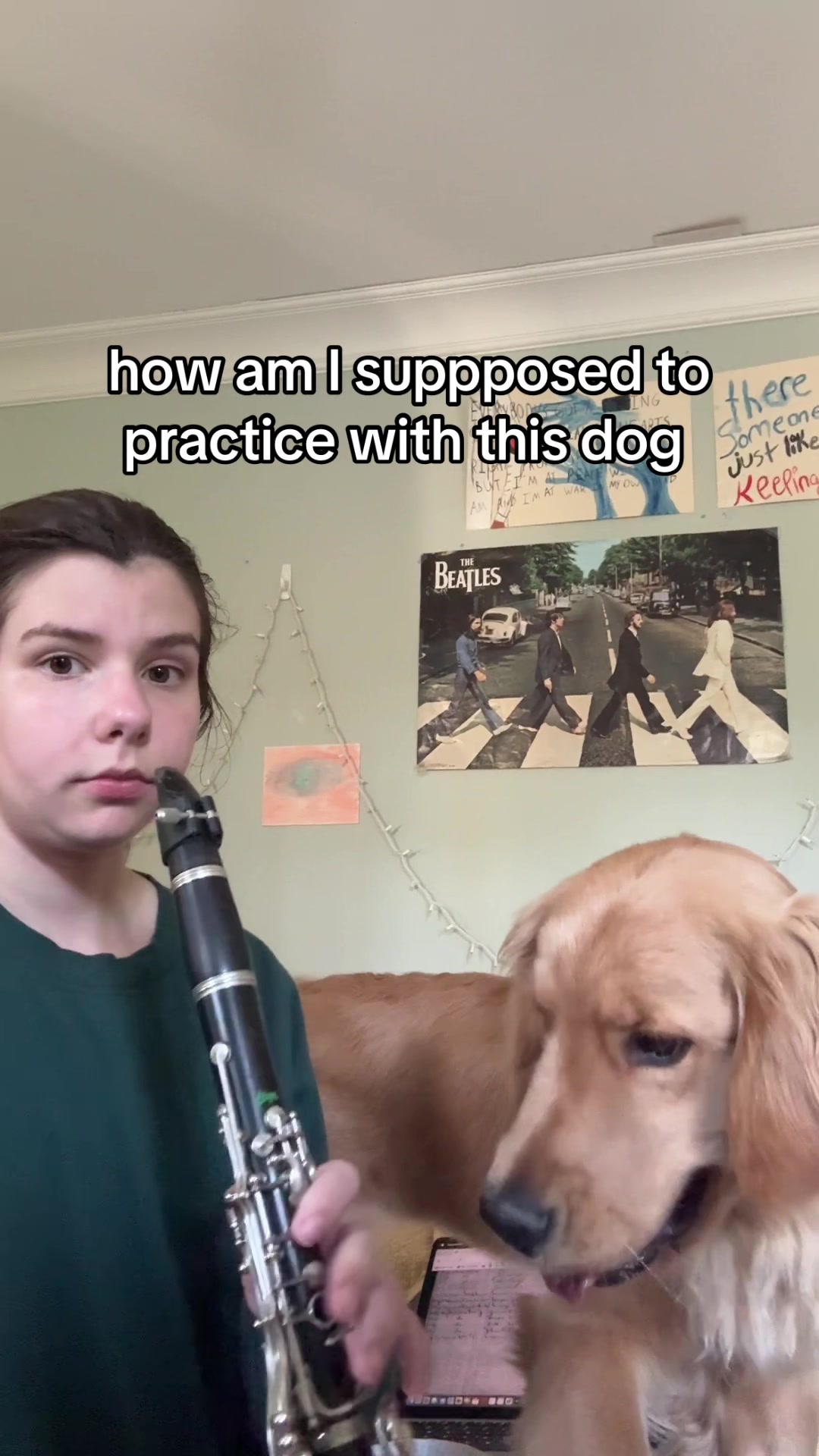 @monotonousdaydream