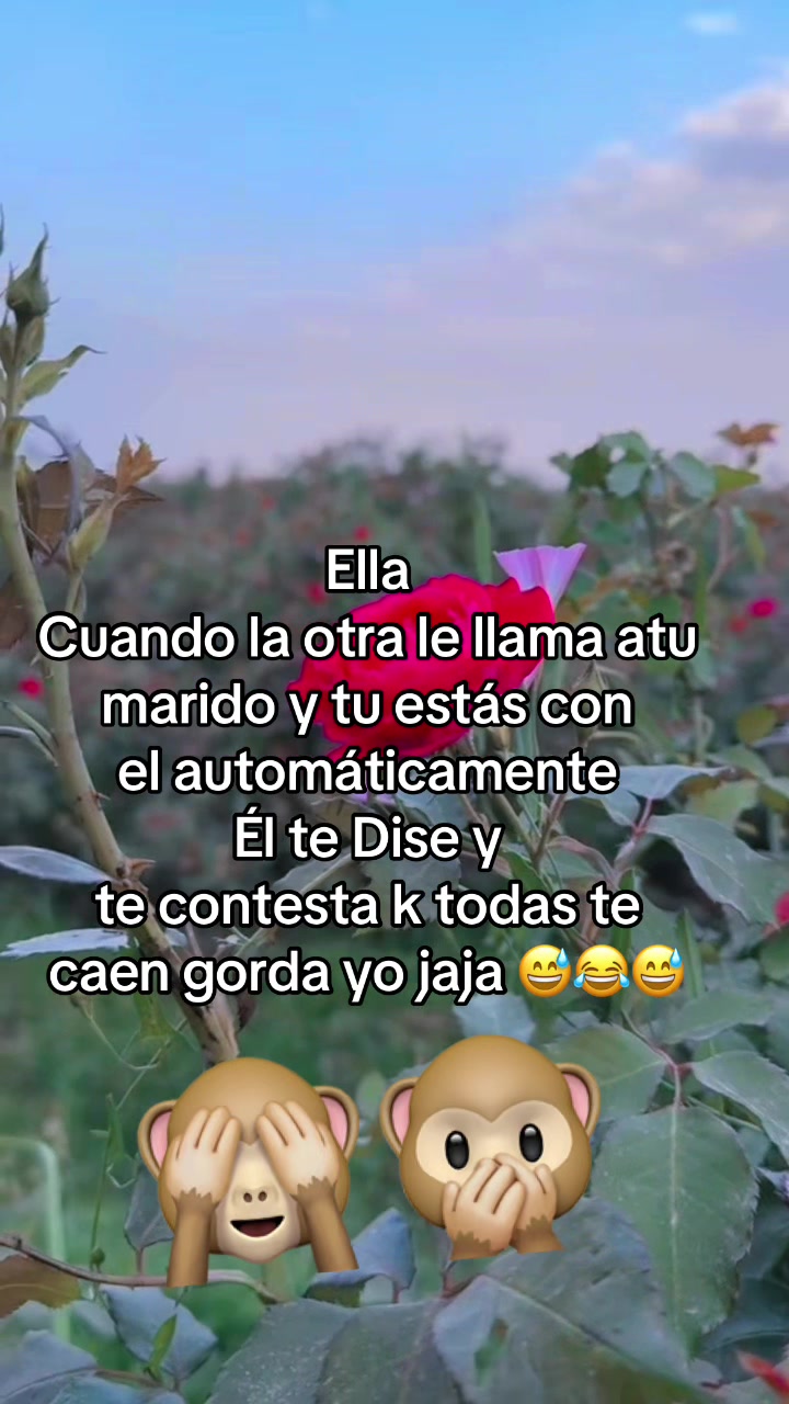 @LDy Acevedo