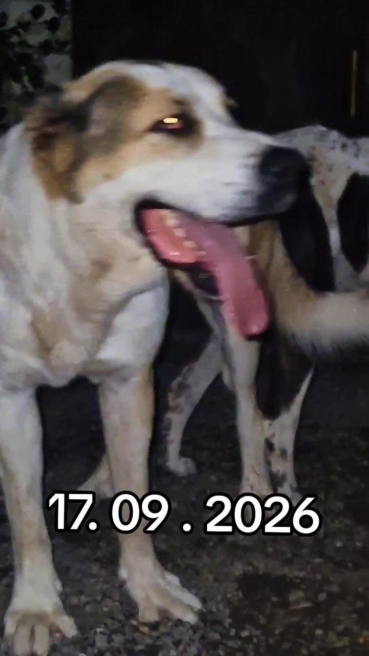 @Elşad__007