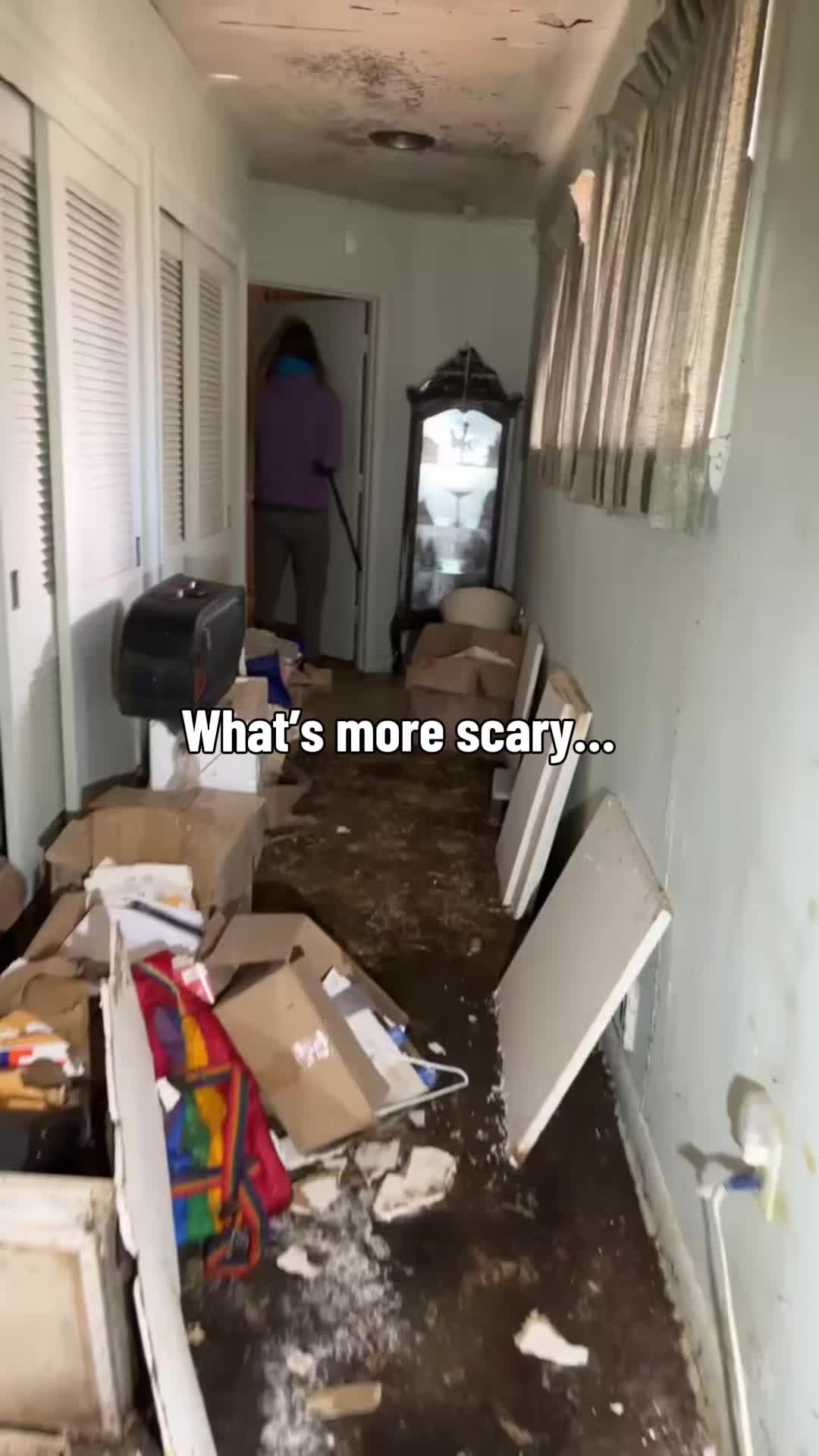 @Mystery_Seekers