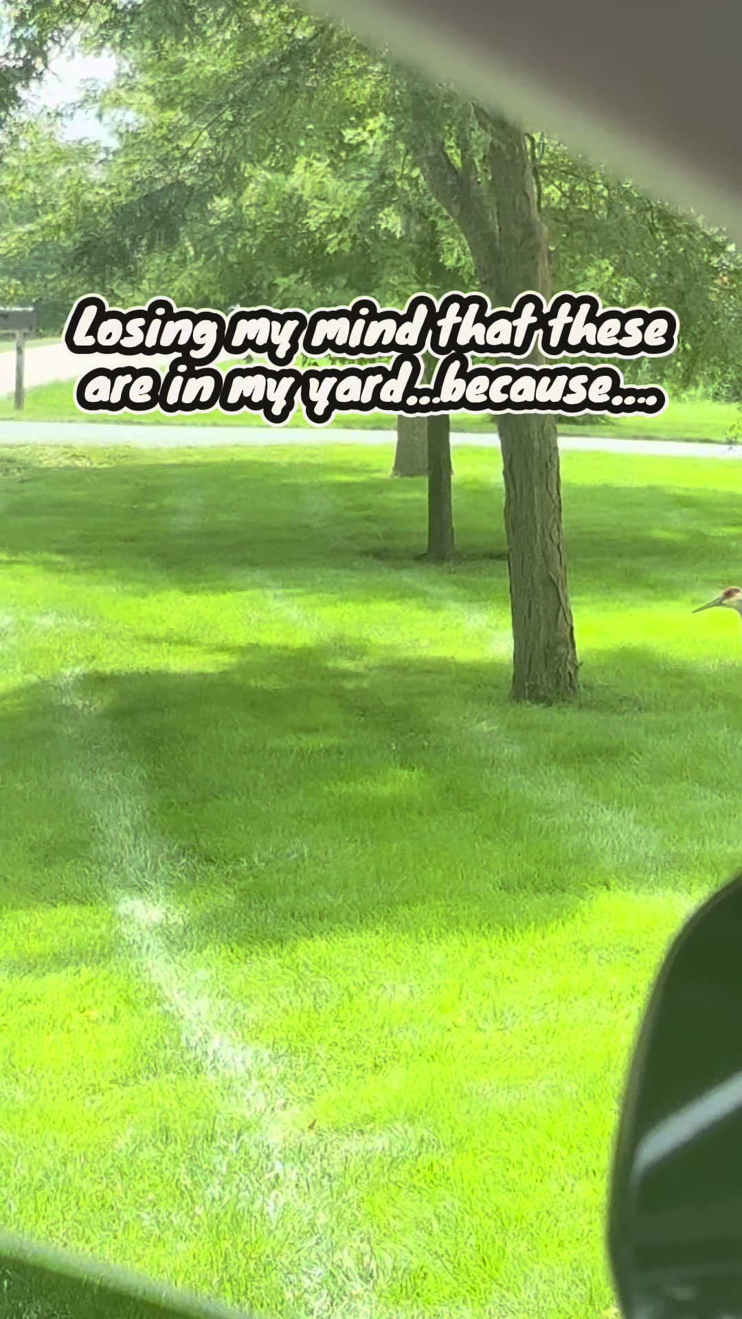 @Misery Plays