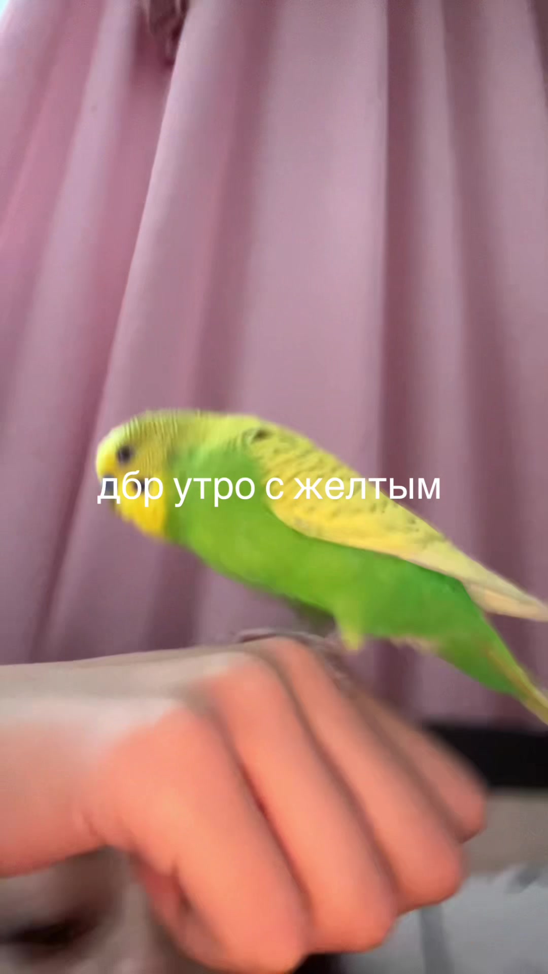 @asleep