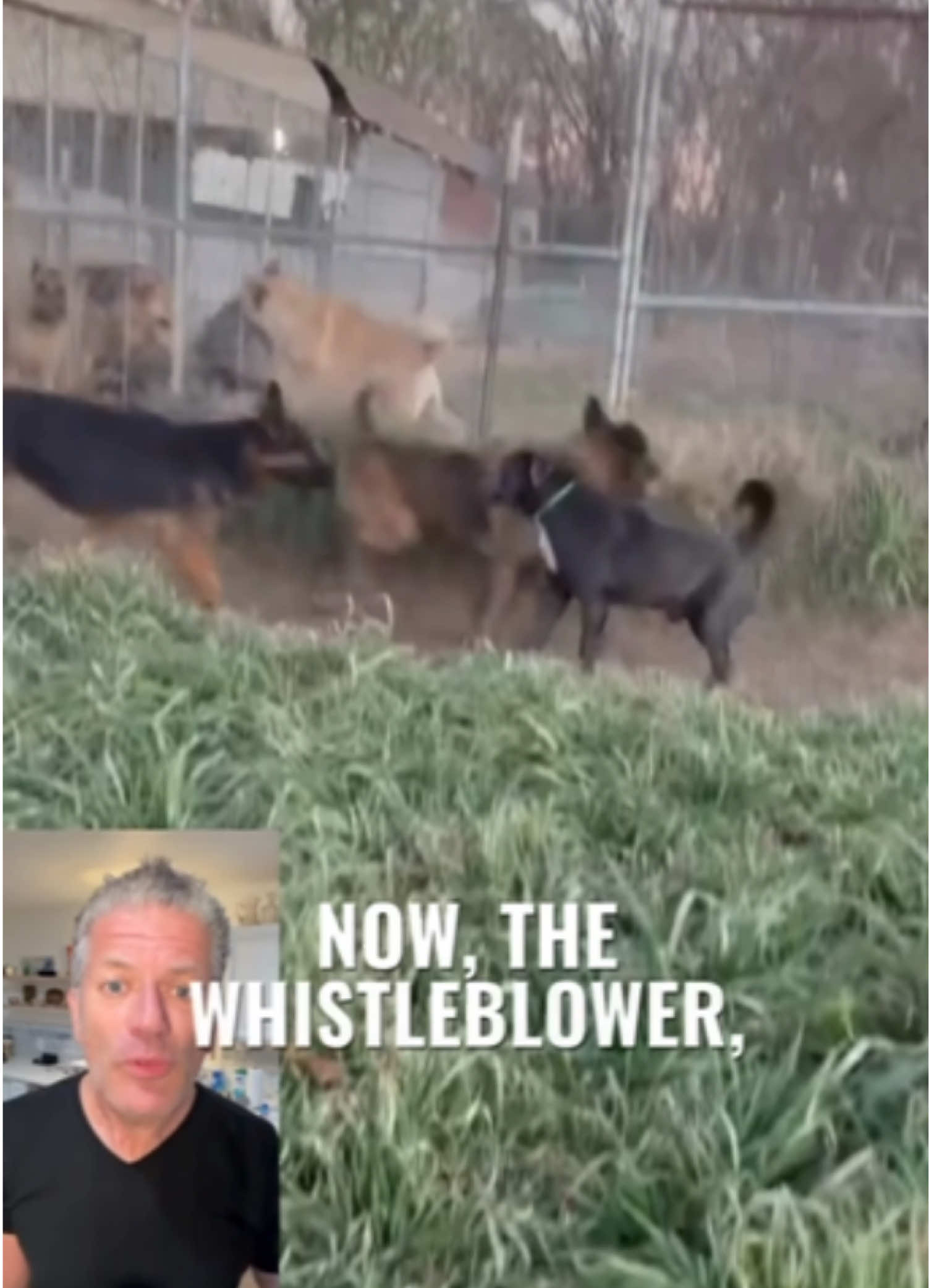 @TheRealPaulMueller