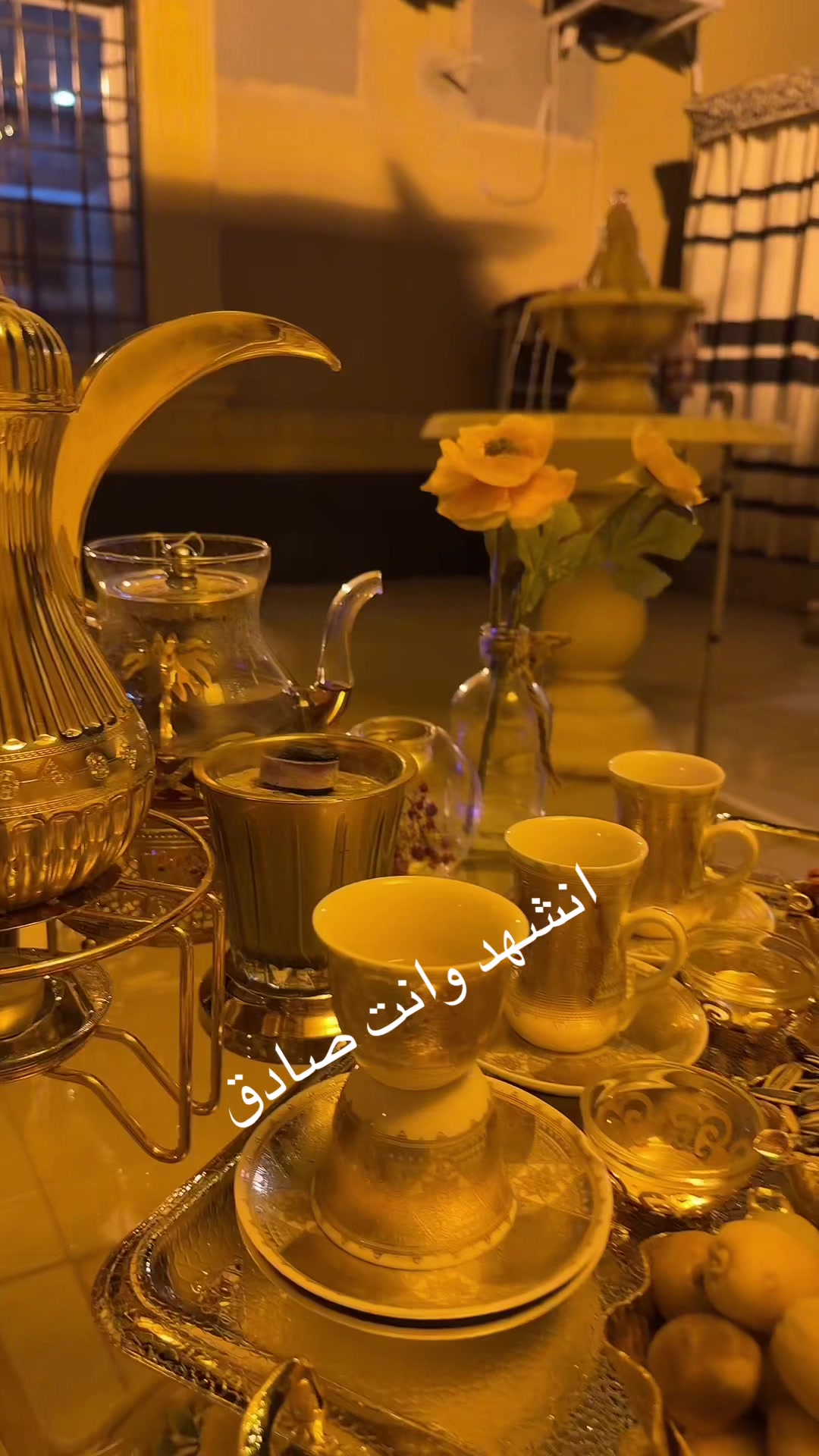 @⭐️⭐️⭐️نجمة الهيلا وبس ⭐️(١)⭐️