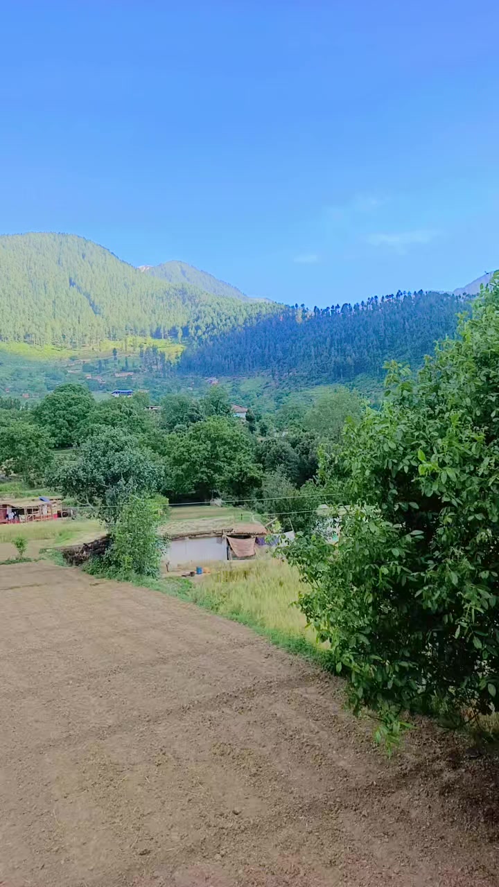 @sulemanshsh5