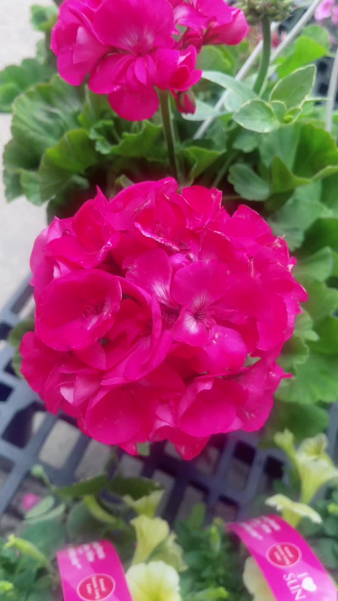 @chandana_nath2