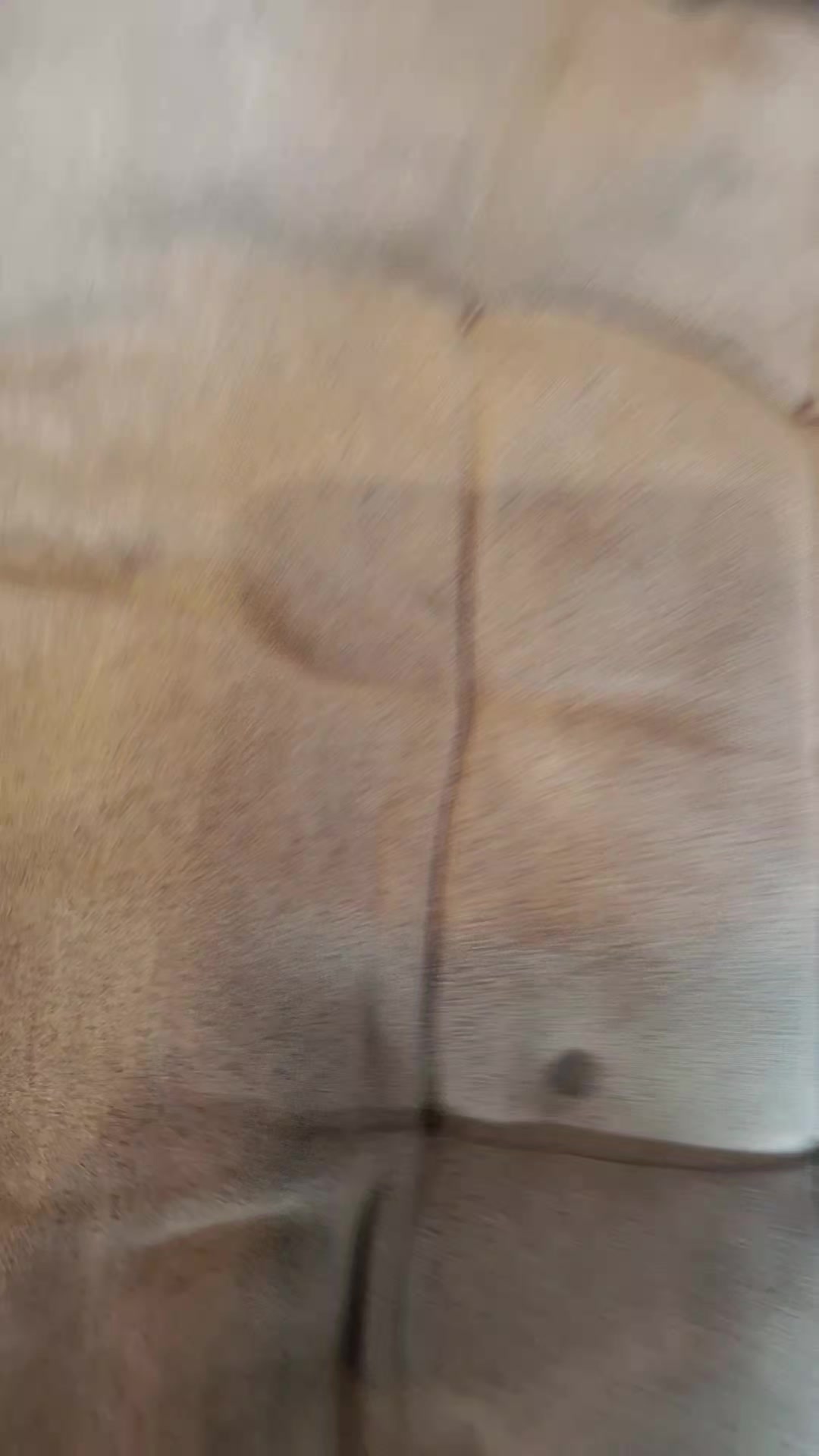 @сегунн @