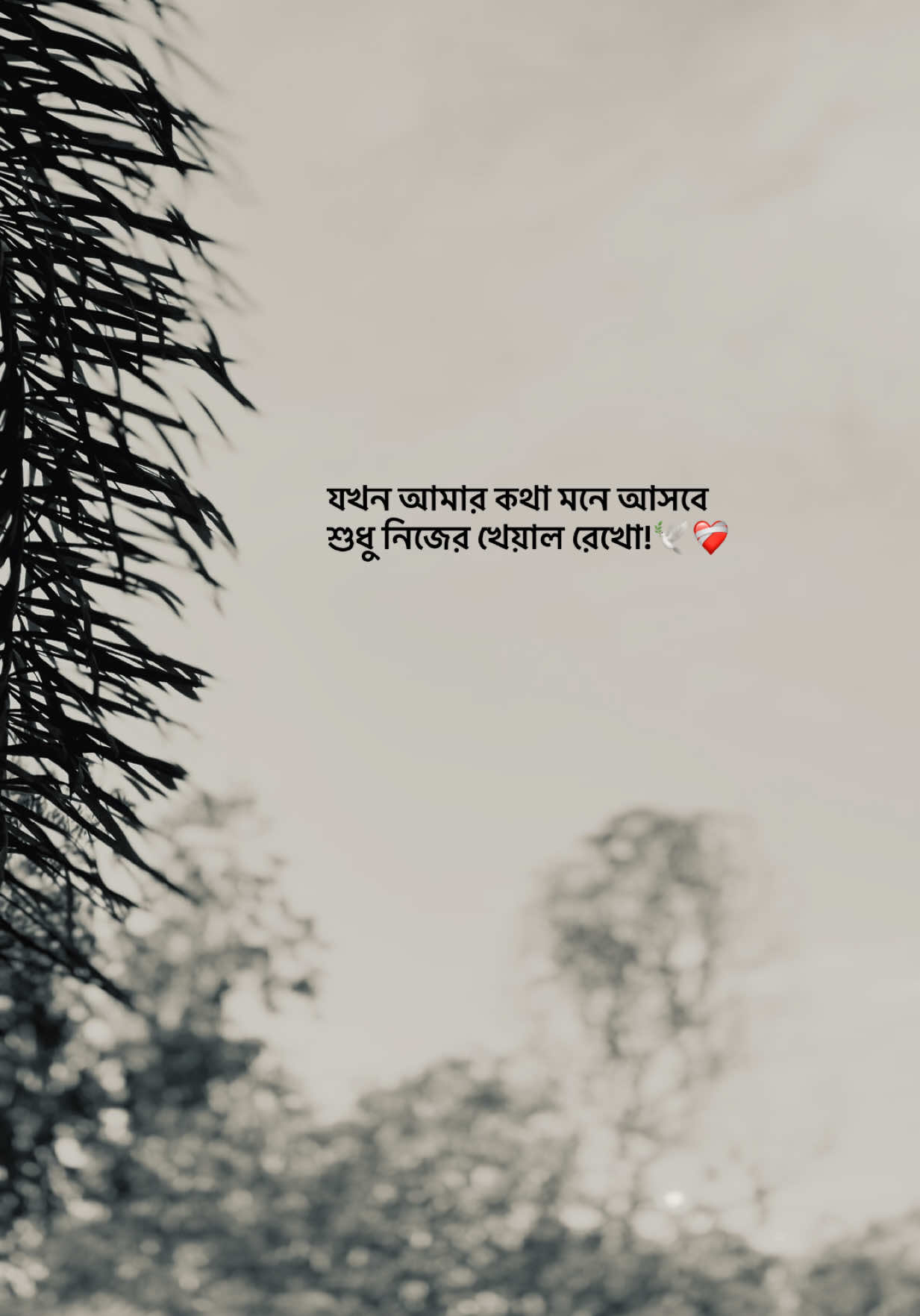 @आईएएन ┊🐥